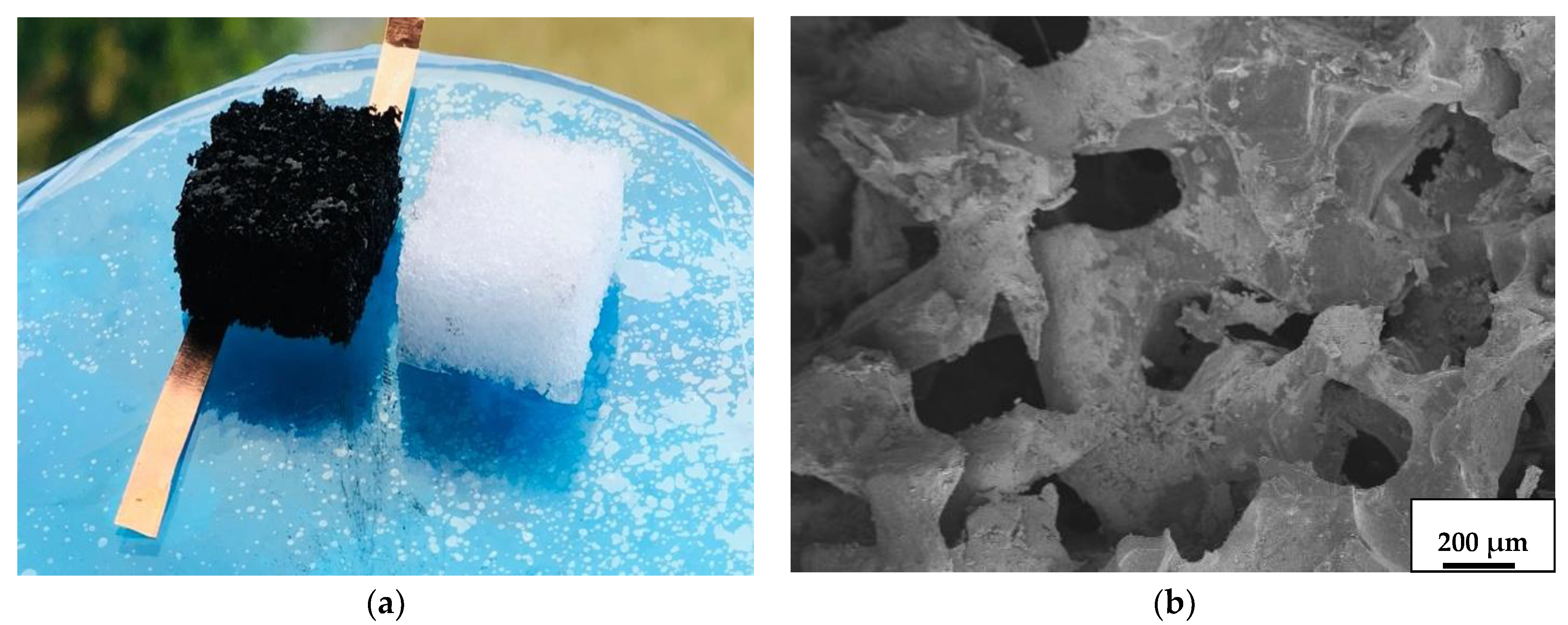 Applsci 11 07264 g001