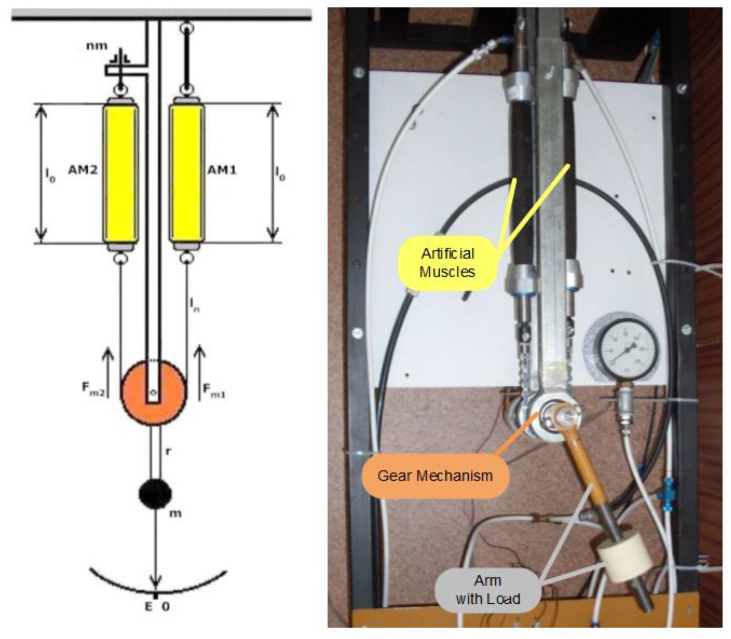 Applsci 11 07288 g002