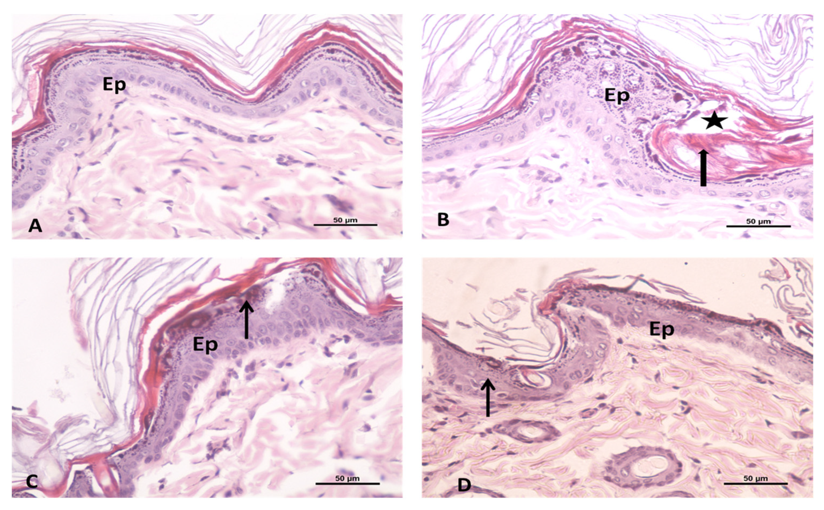 Applsci 11 07294 g006
