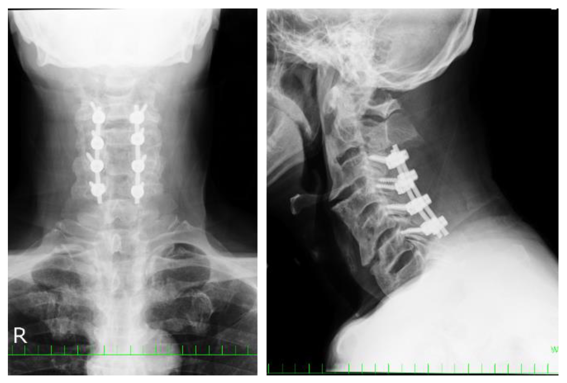 Applsci 11 07300 g003