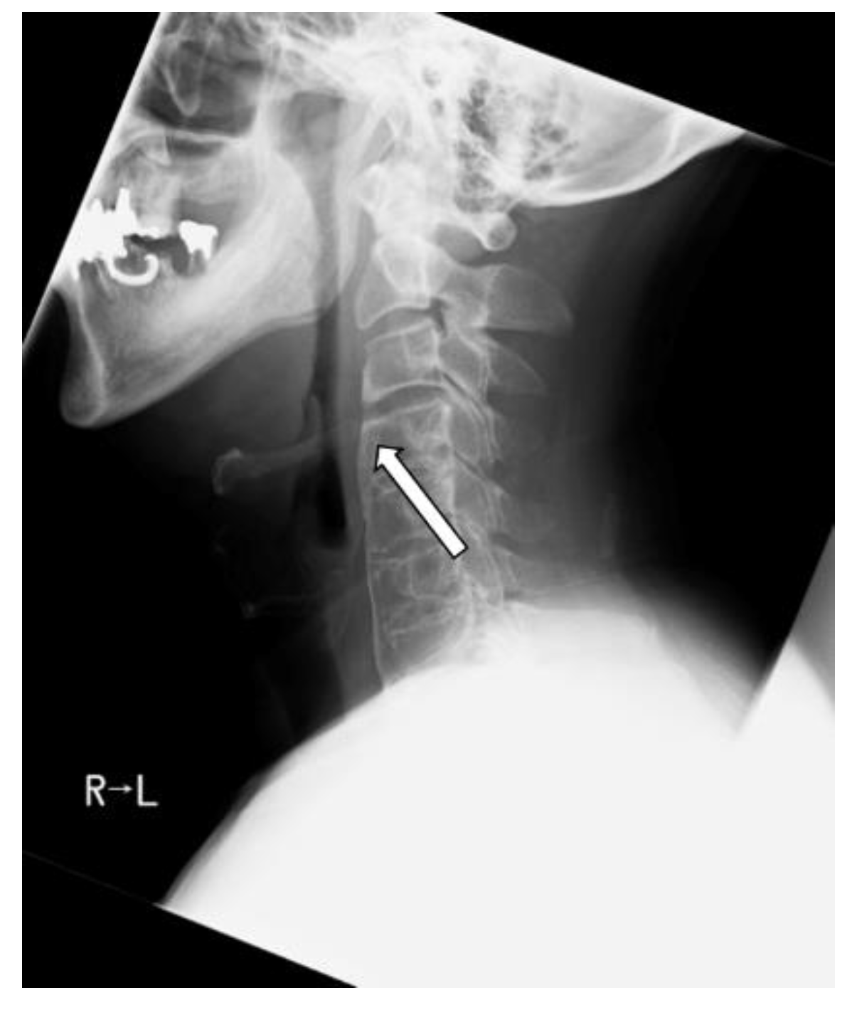 Applsci 11 07300 g005