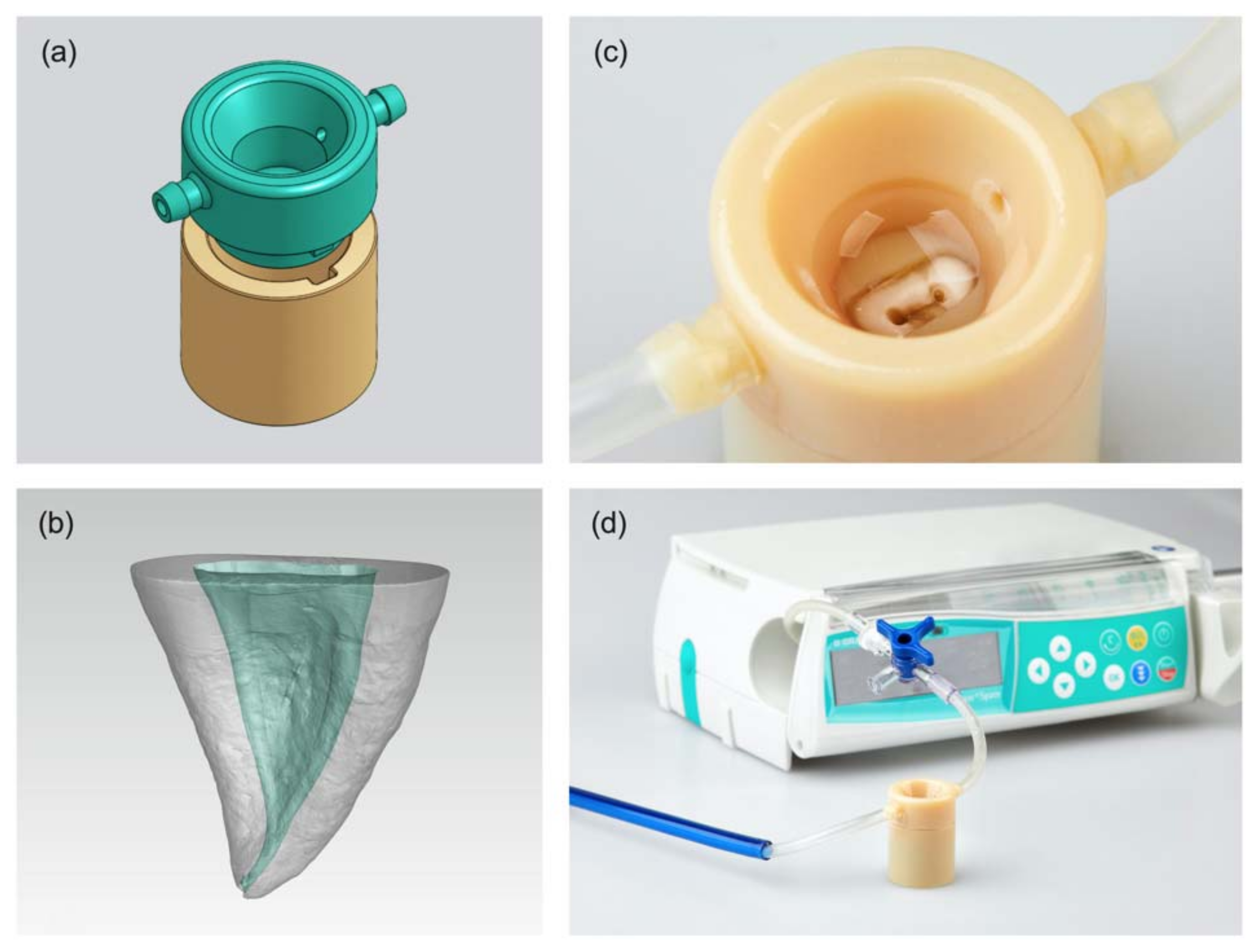 Applsci 11 07331 g001