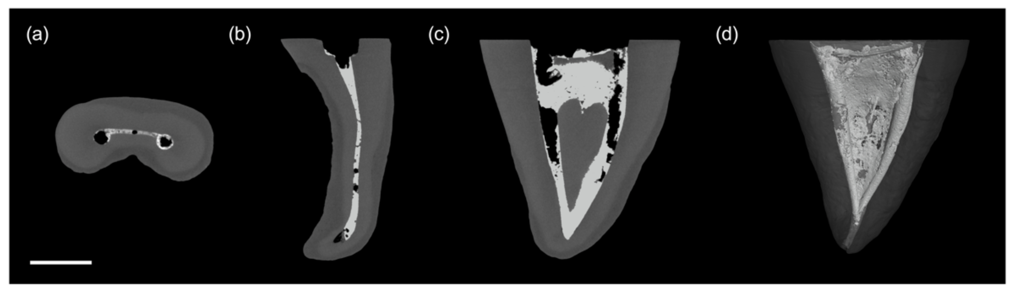 Applsci 11 07331 g002