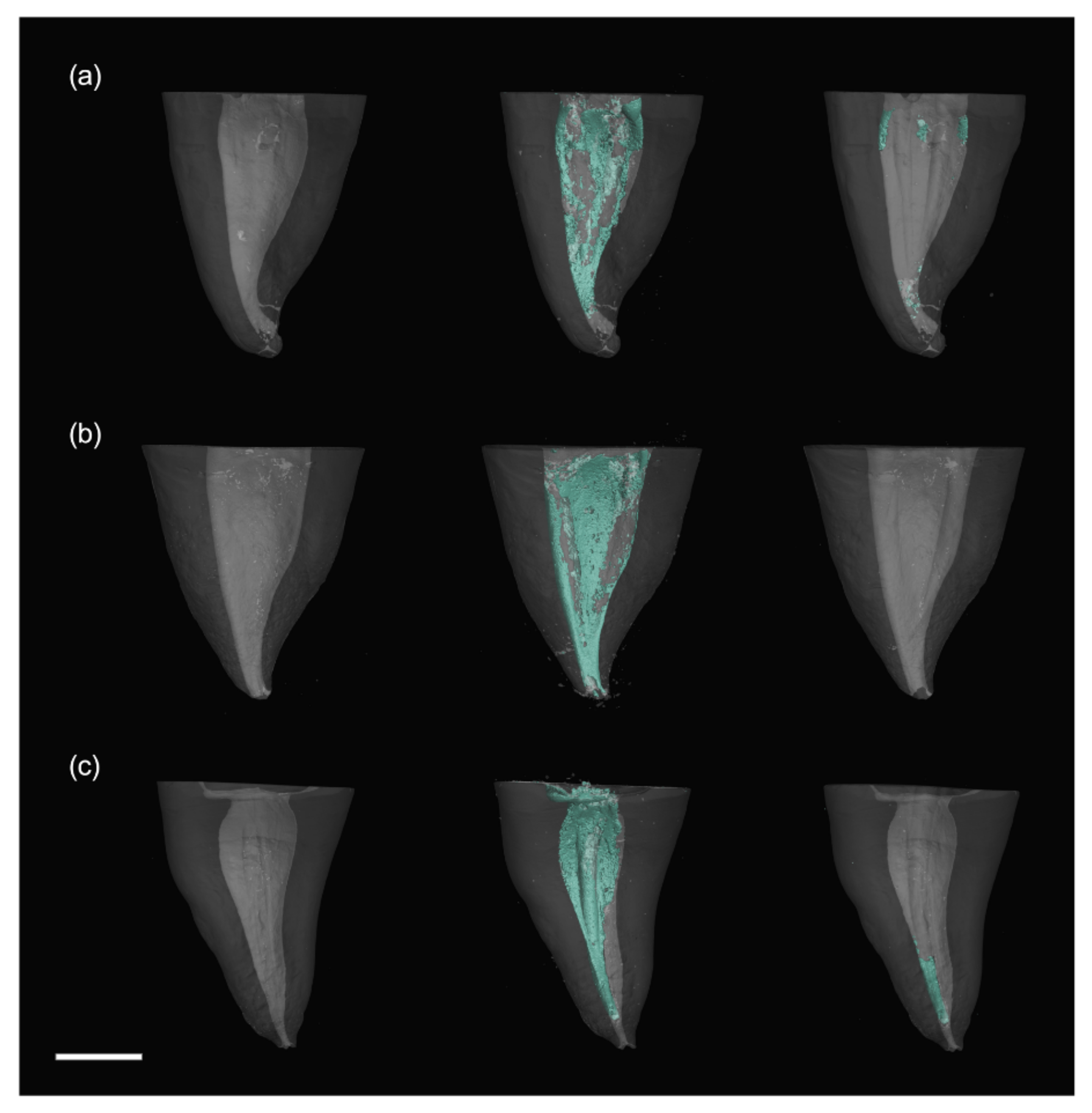 Applsci 11 07331 g003