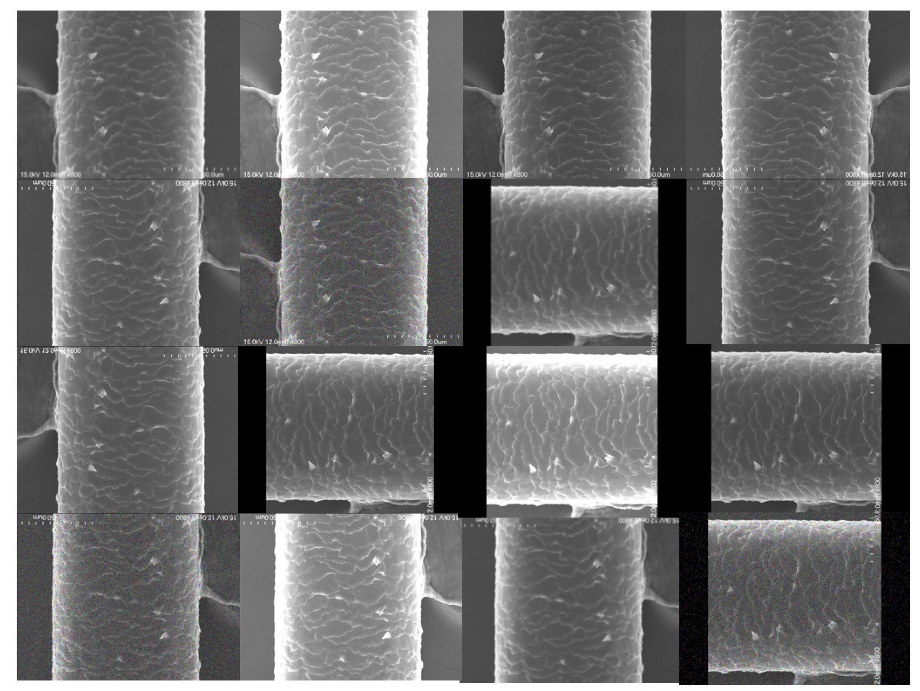 Applsci 11 07333 g008