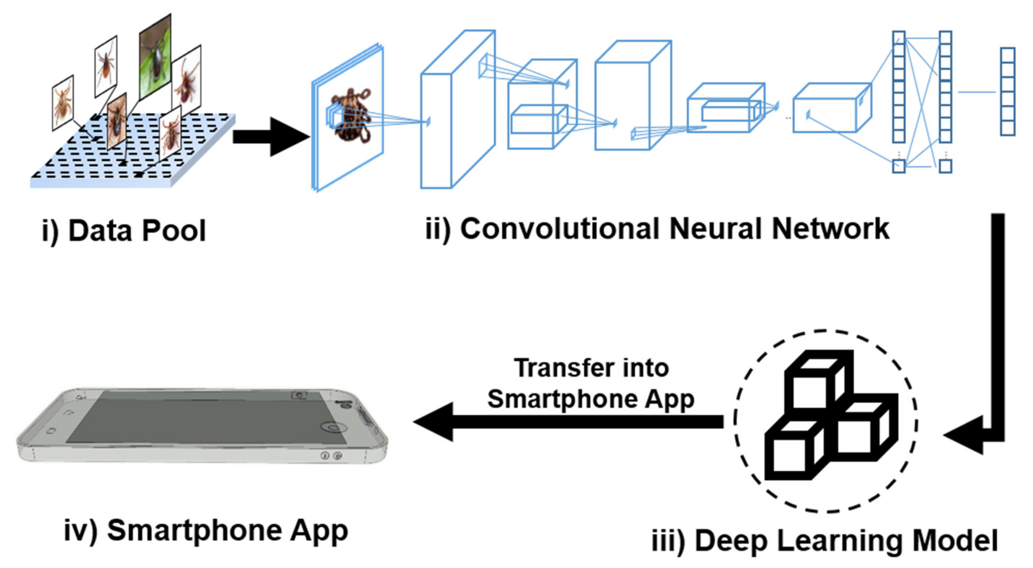 Applsci 11 07355 g001