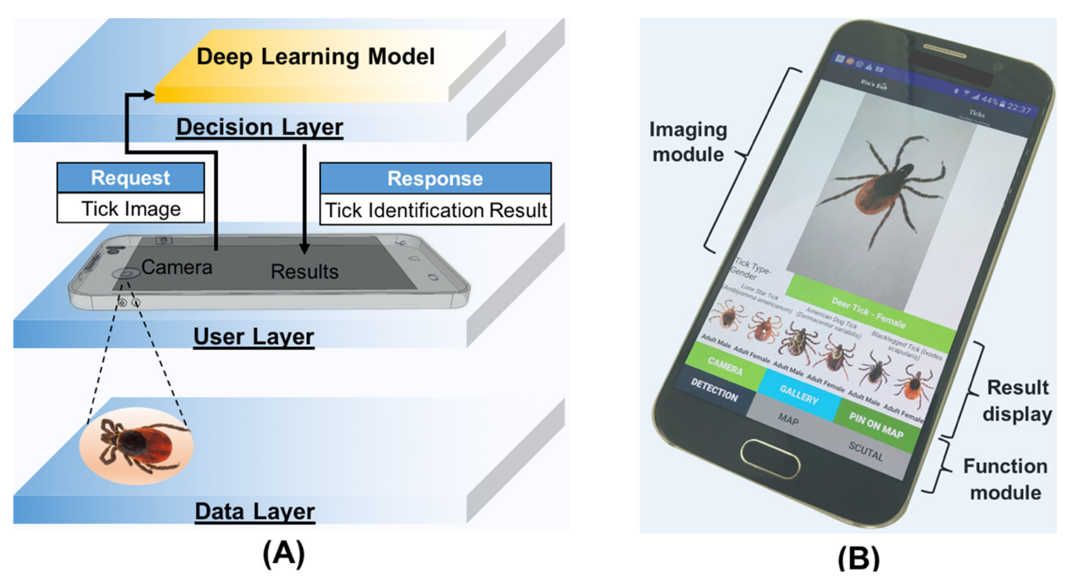Applsci 11 07355 g003
