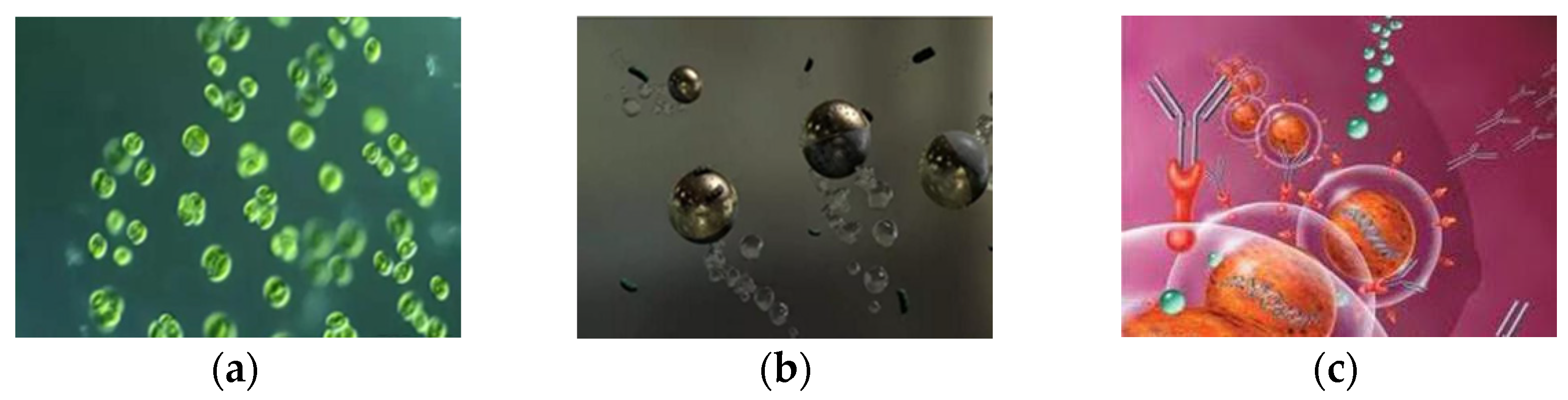 Applsci 11 07361 g002