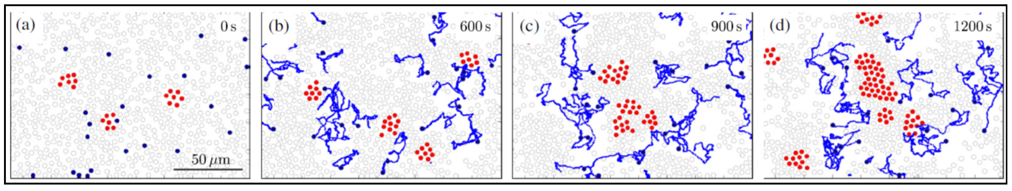 Applsci 11 07361 g003