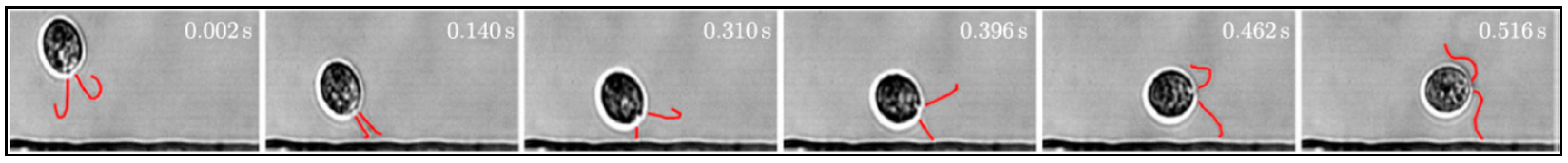 Applsci 11 07361 g004