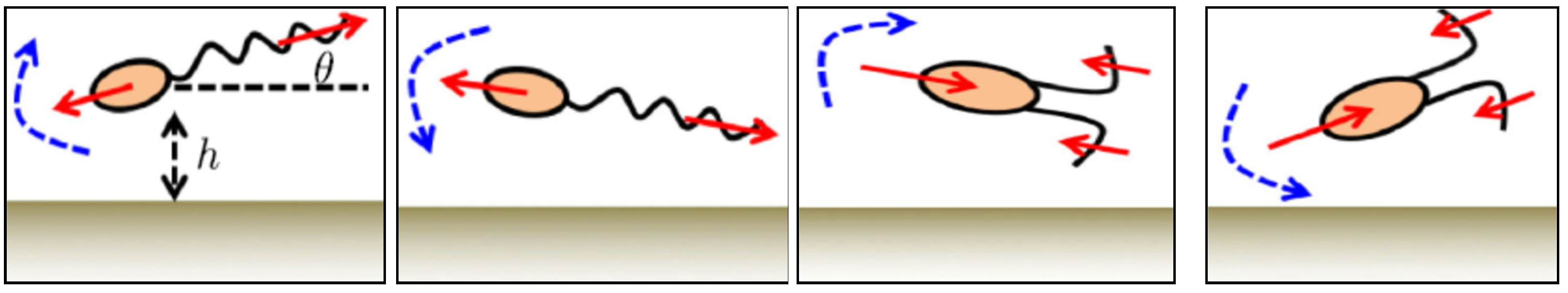 Applsci 11 07361 g005