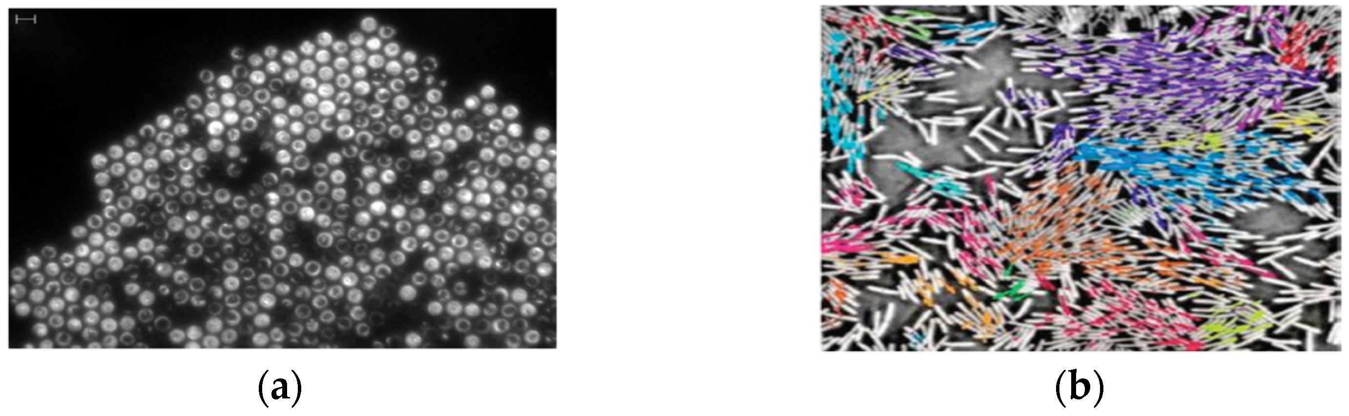 Applsci 11 07361 g007