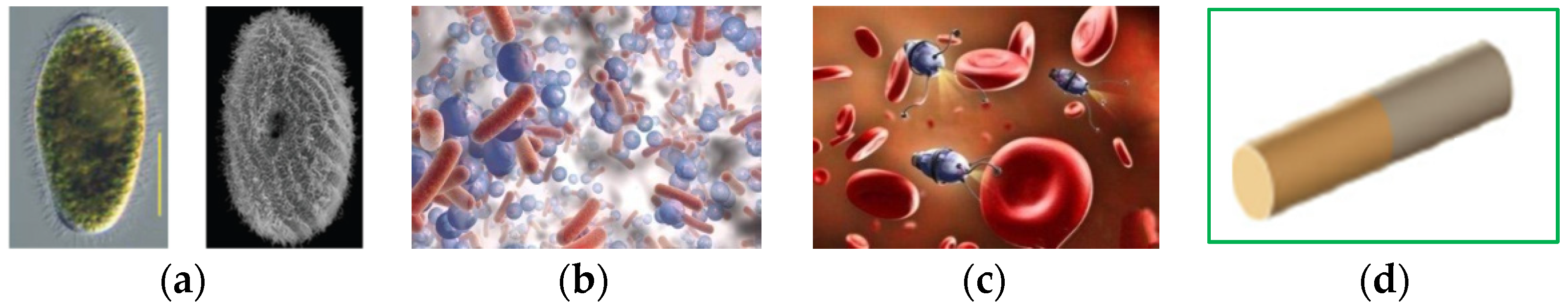 Applsci 11 07361 g008