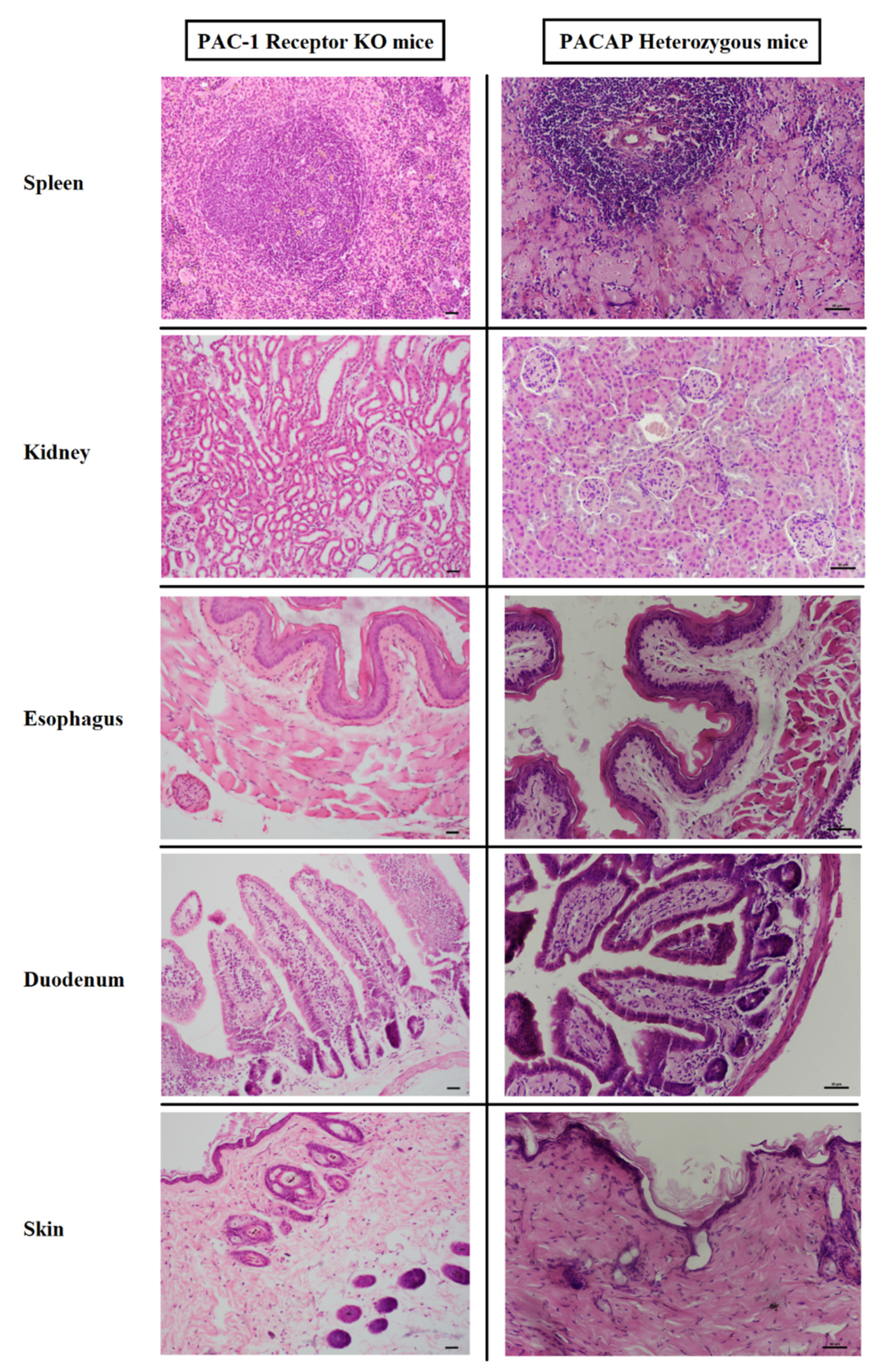 Applsci 11 07373 g001