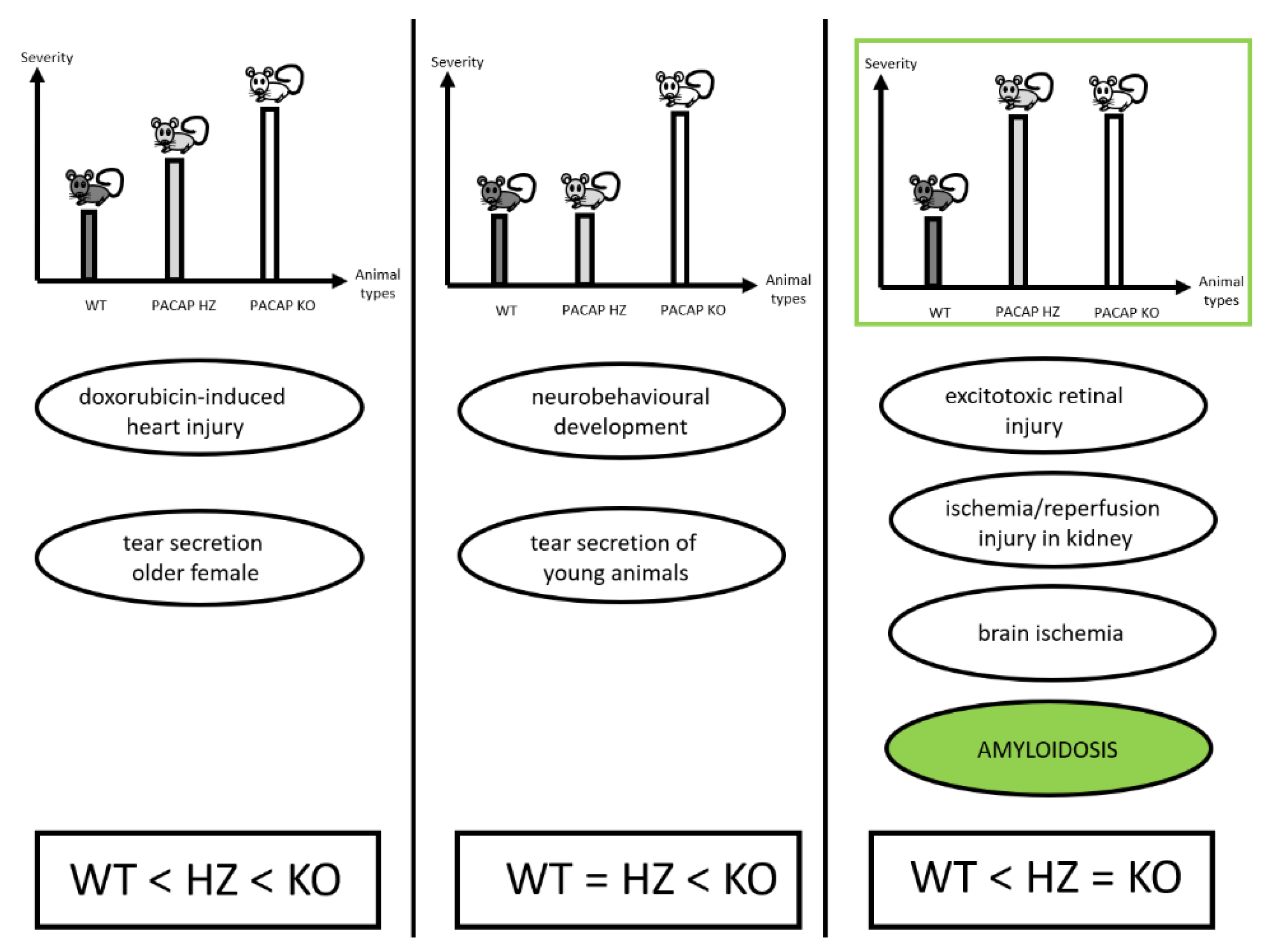 Applsci 11 07373 g004