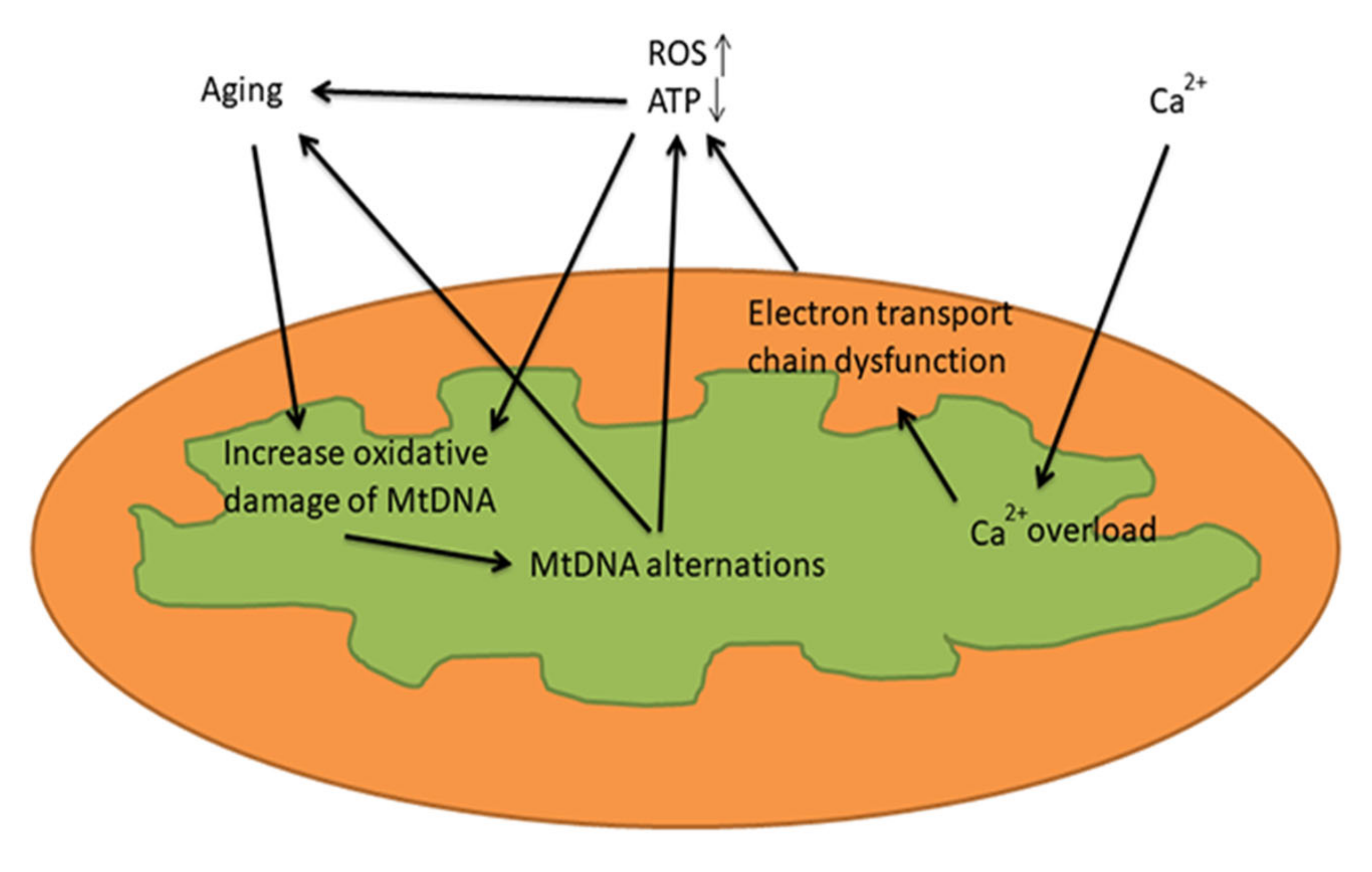 Applsci 11 07385 g001