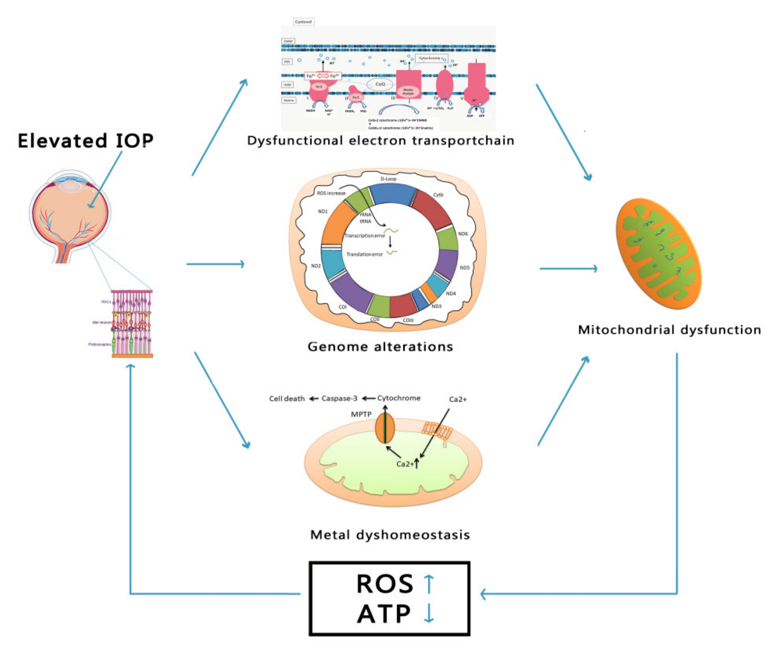 Applsci 11 07385 g002