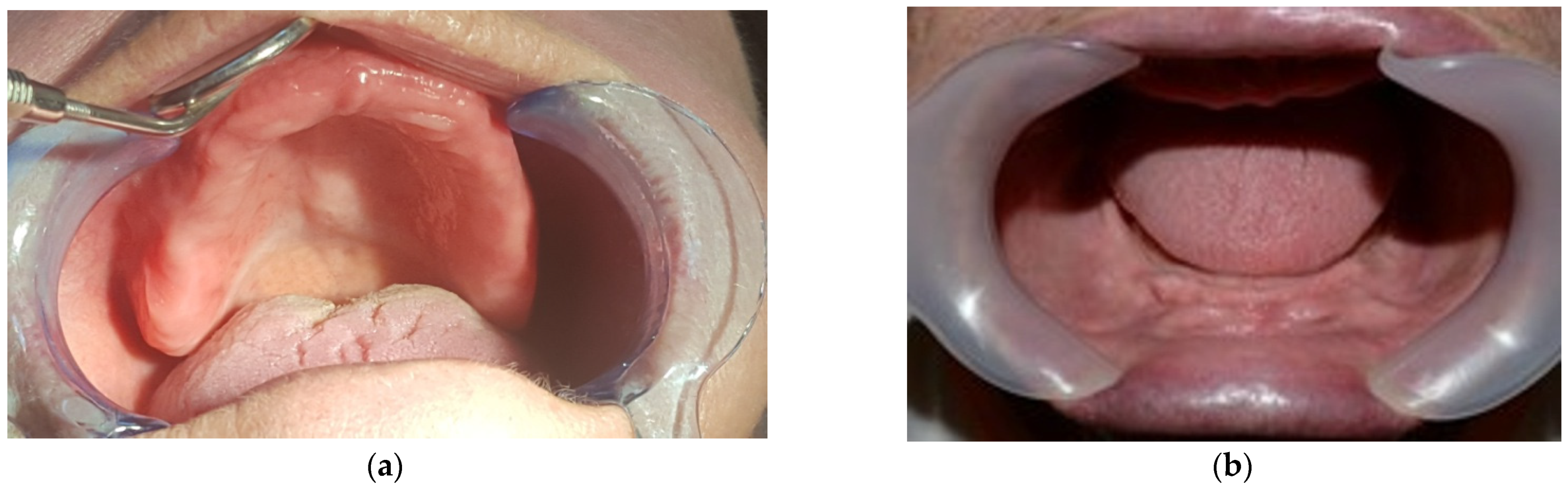 Applsci 11 07386 g003