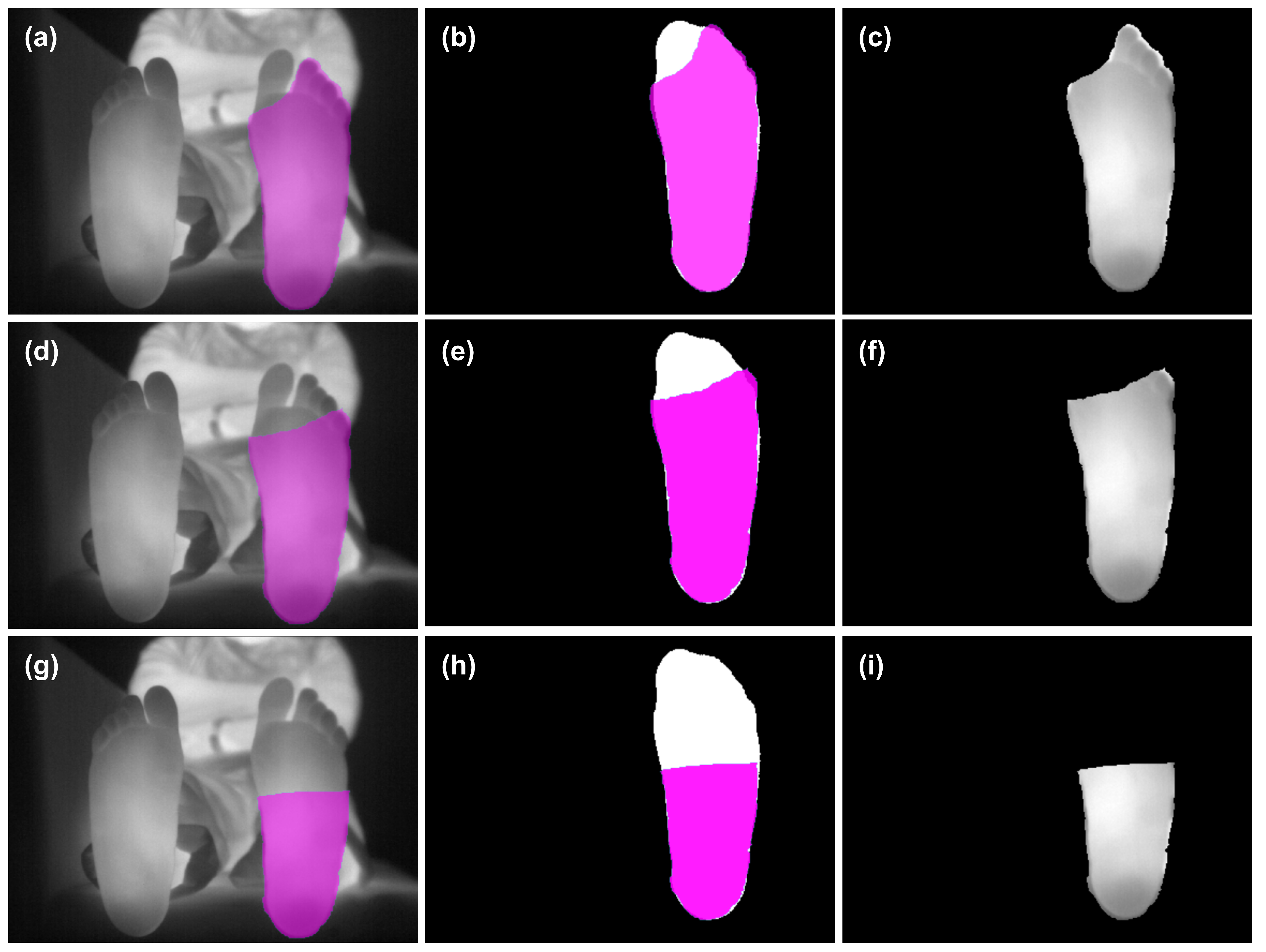 Applsci 11 07396 g004