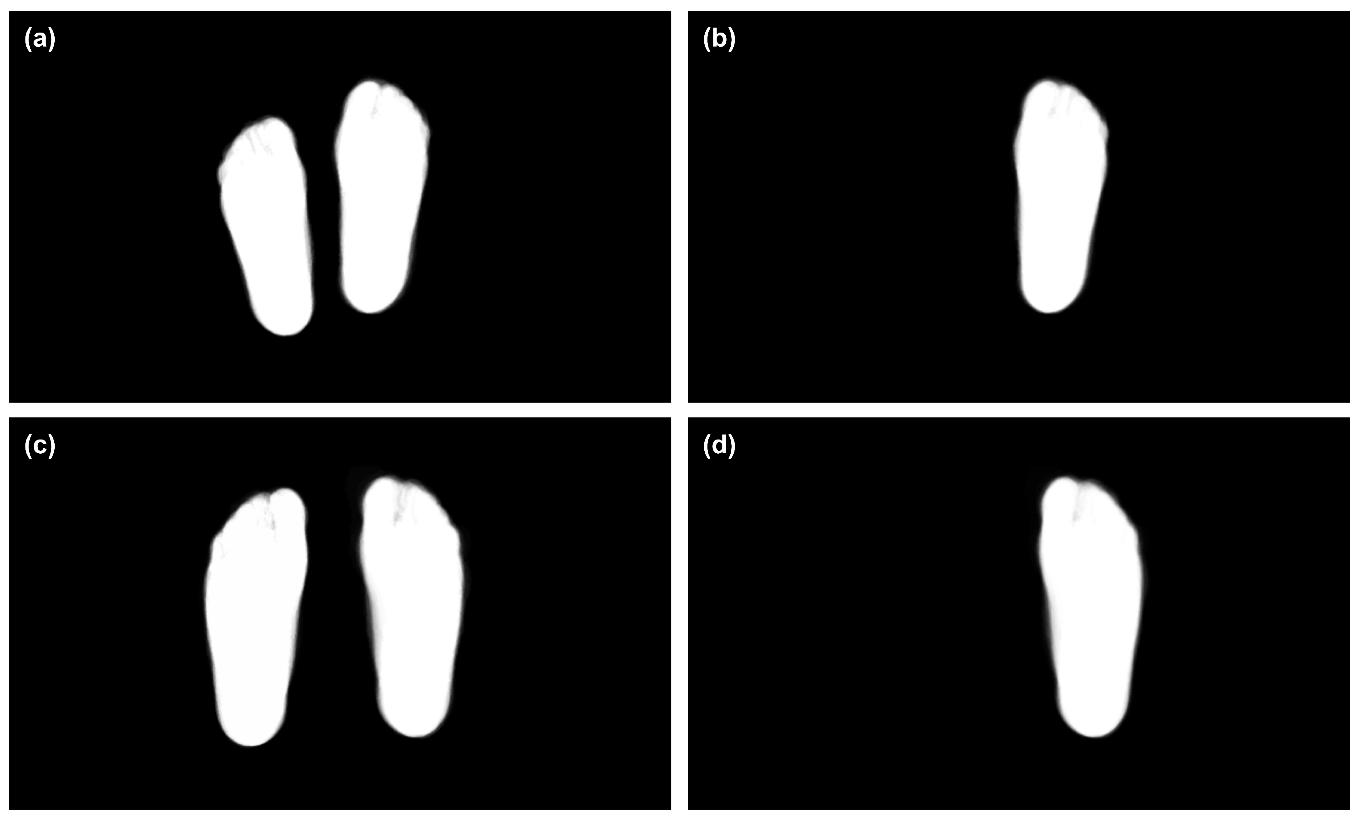 Applsci 11 07396 g006