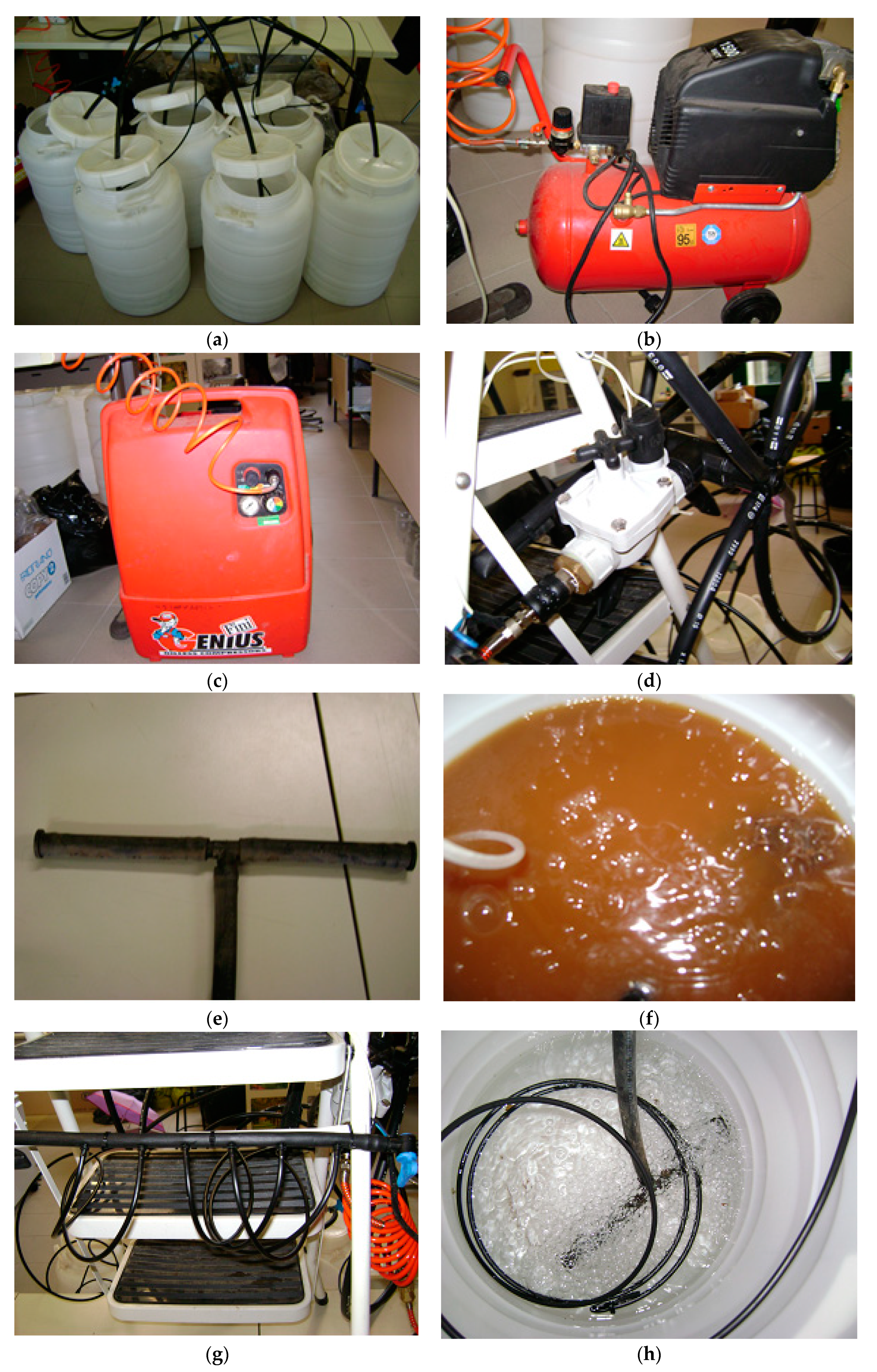 Applsci 11 07402 sch001