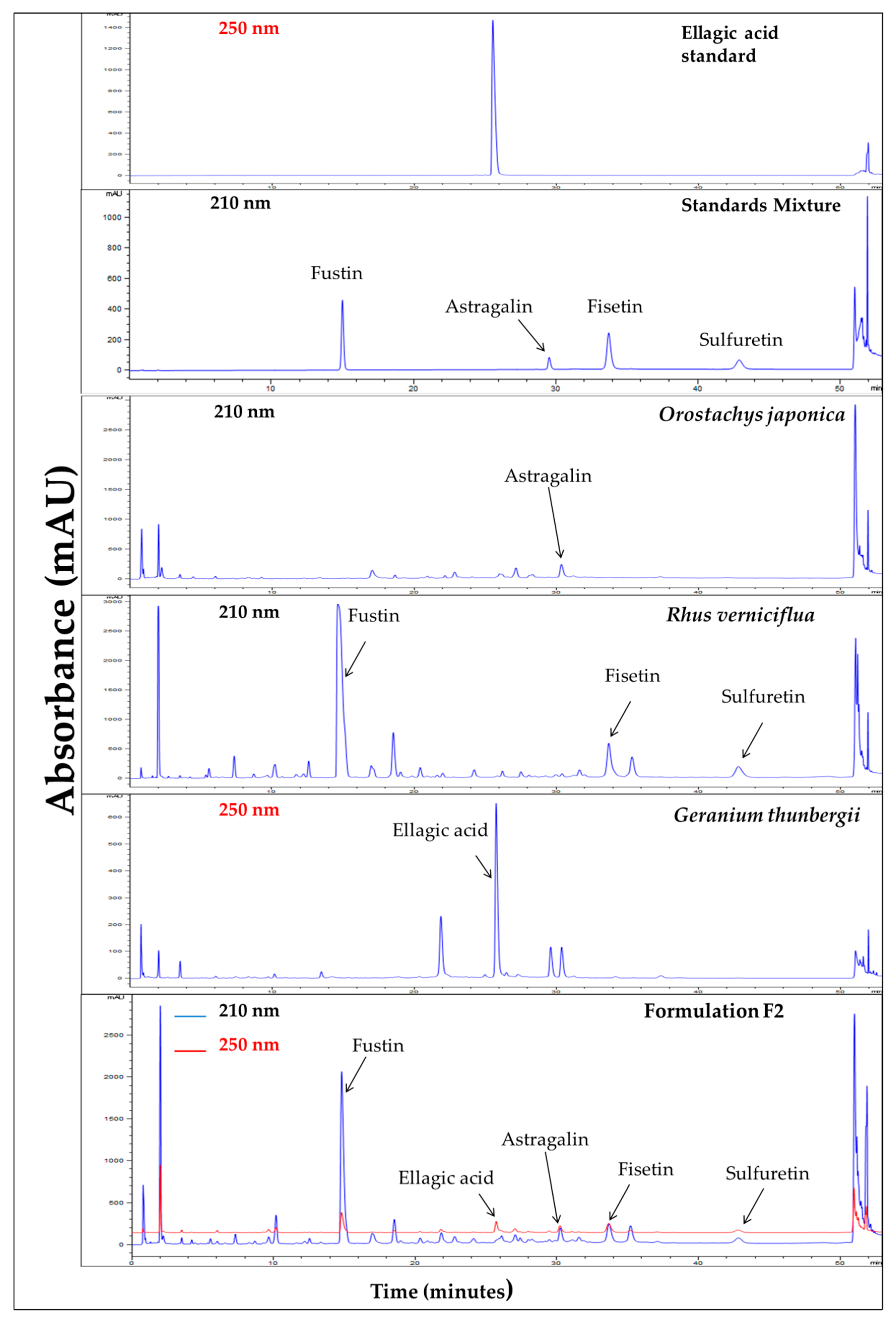 Applsci 11 07404 g001