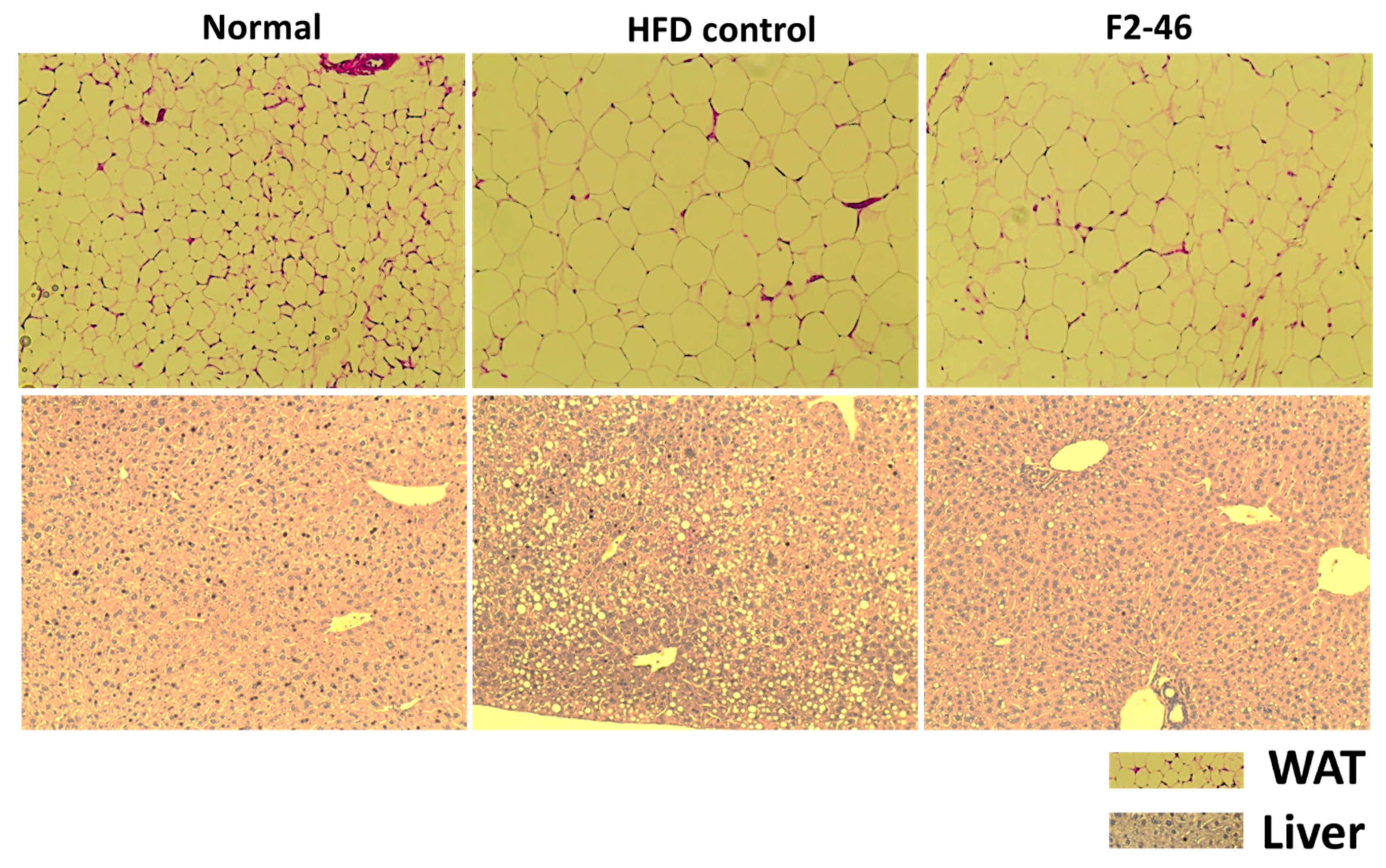 Applsci 11 07404 g006