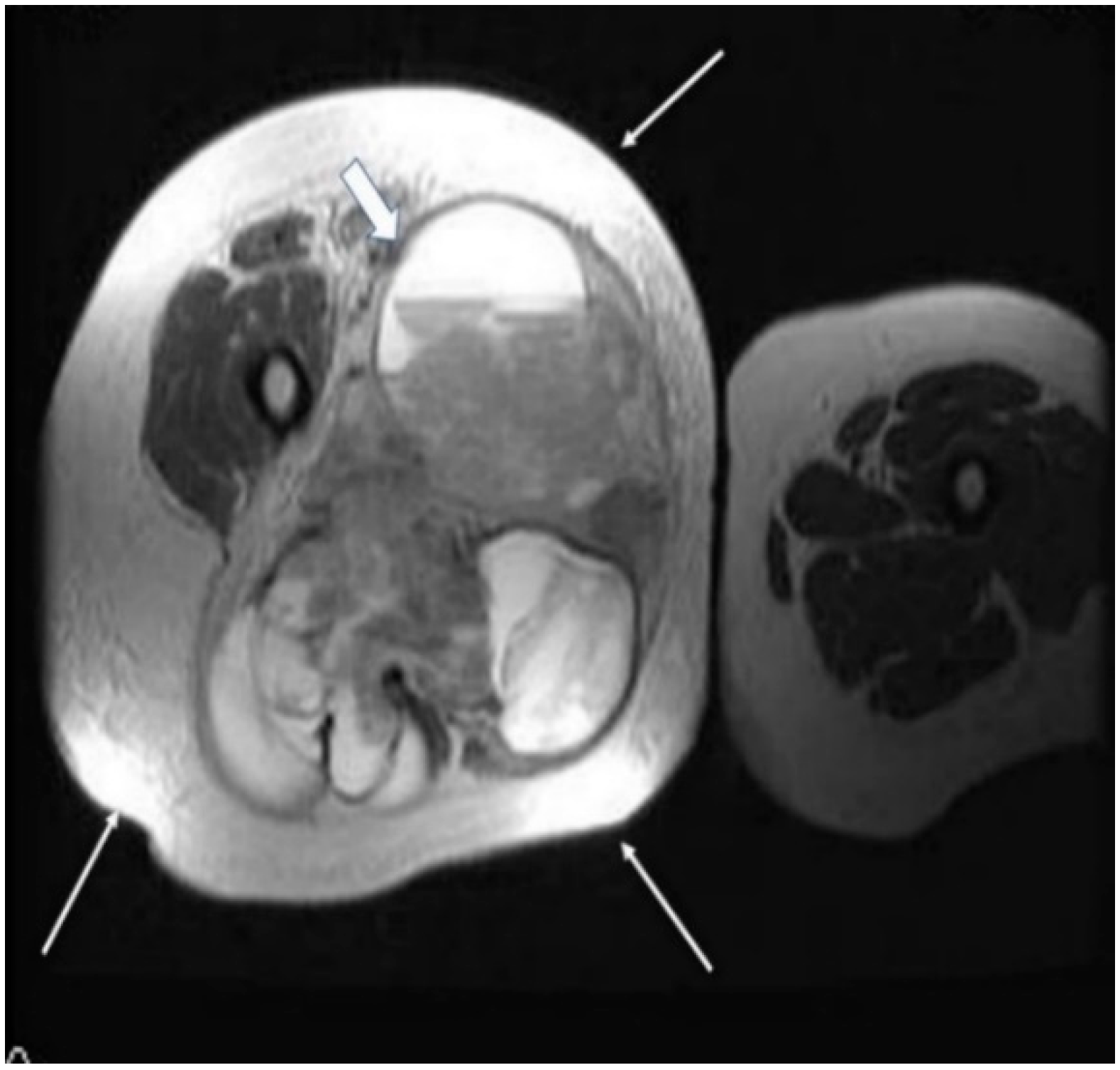 Applsci 11 07407 g002