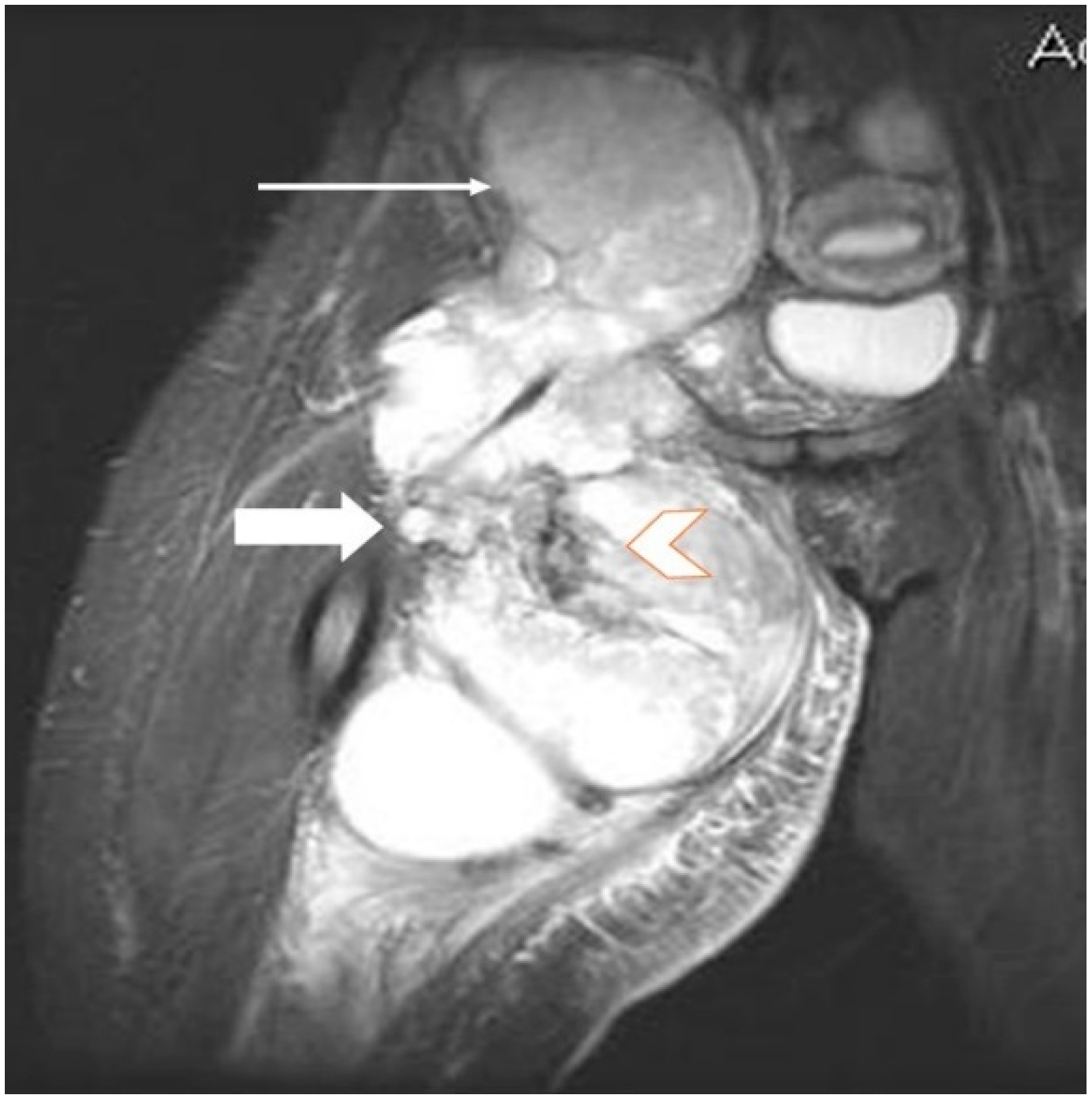 Applsci 11 07407 g003