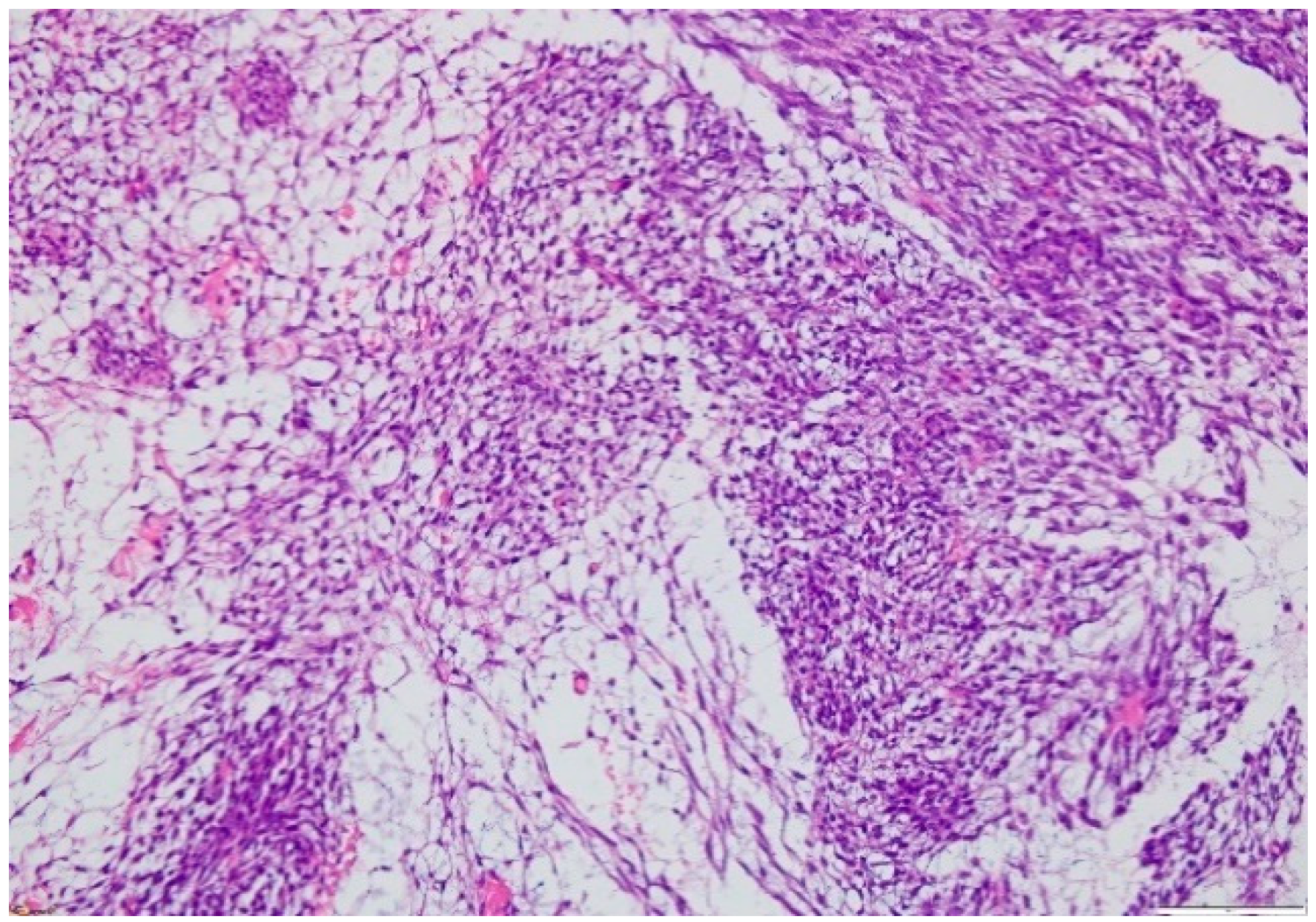 Applsci 11 07407 g008