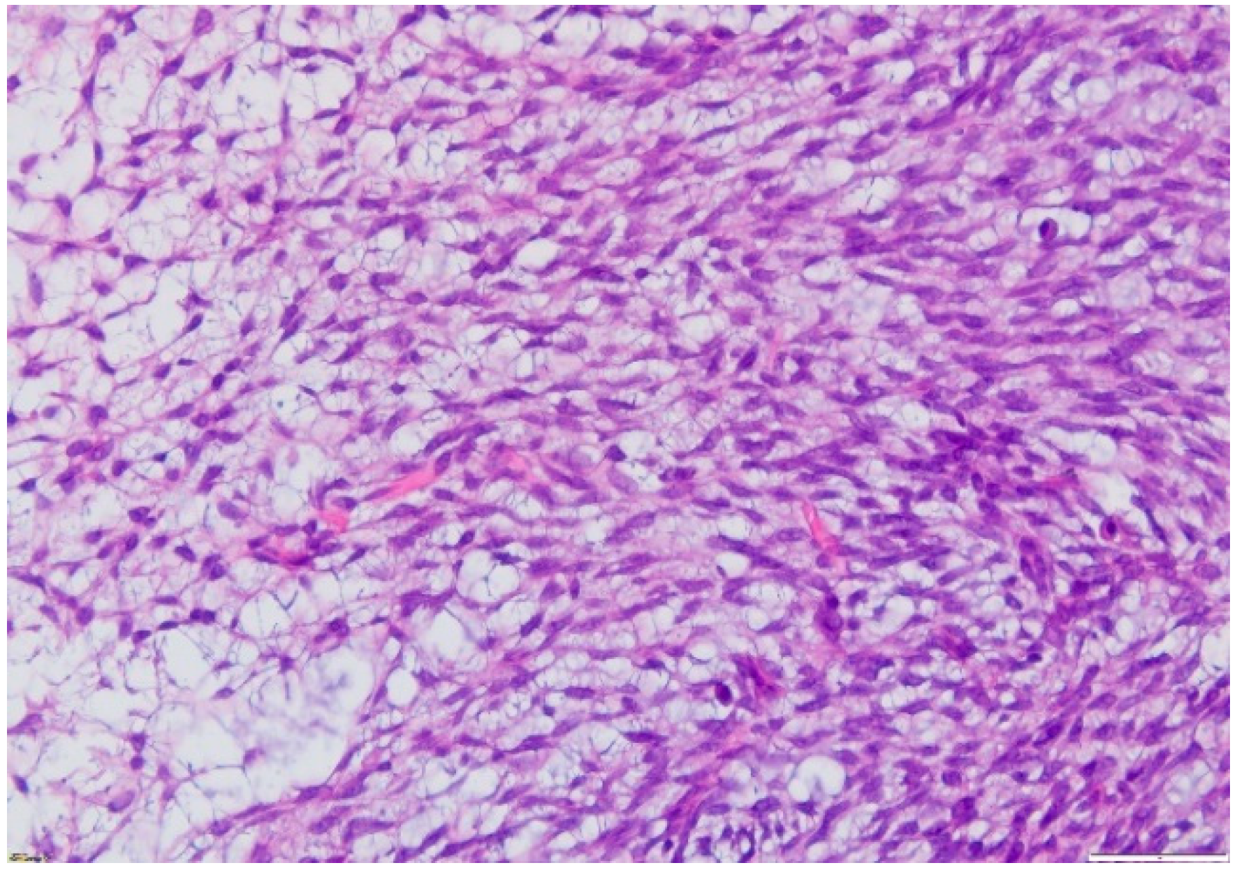 Applsci 11 07407 g009