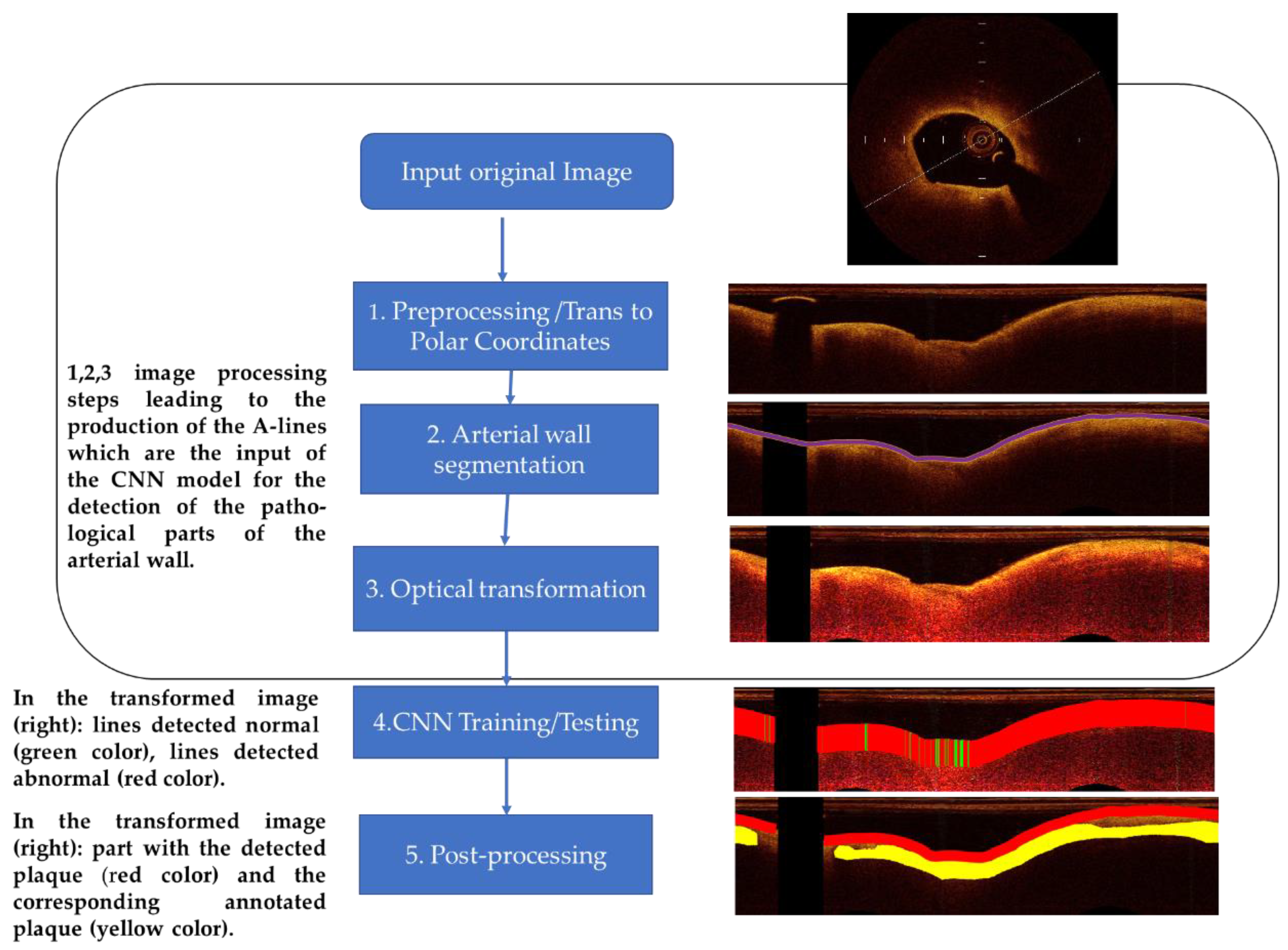 Applsci 11 07412 g001