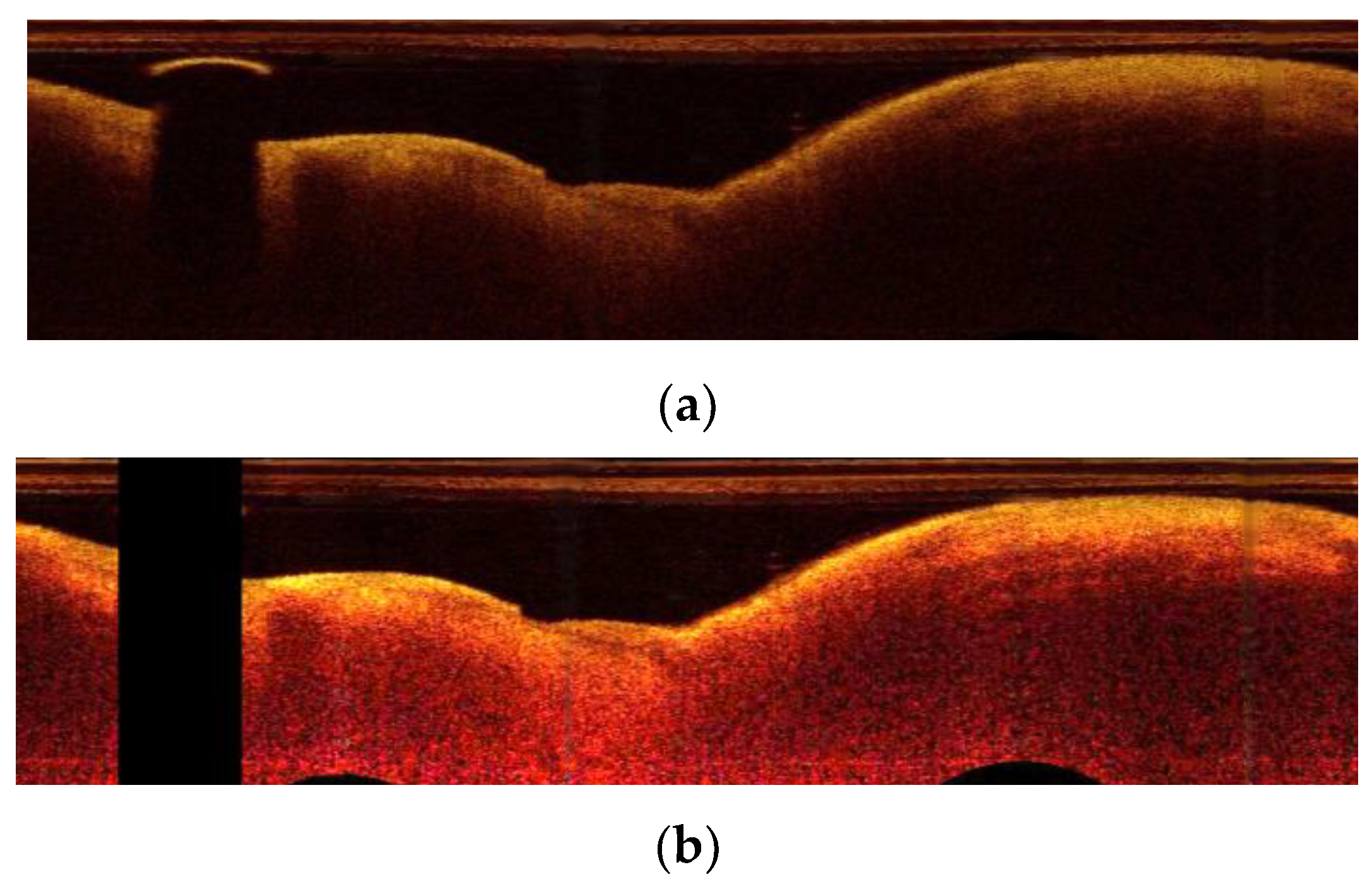 Applsci 11 07412 g003