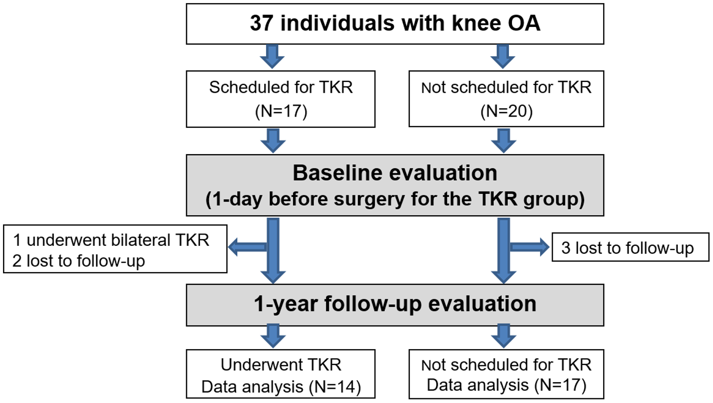 Applsci 11 07453 g001