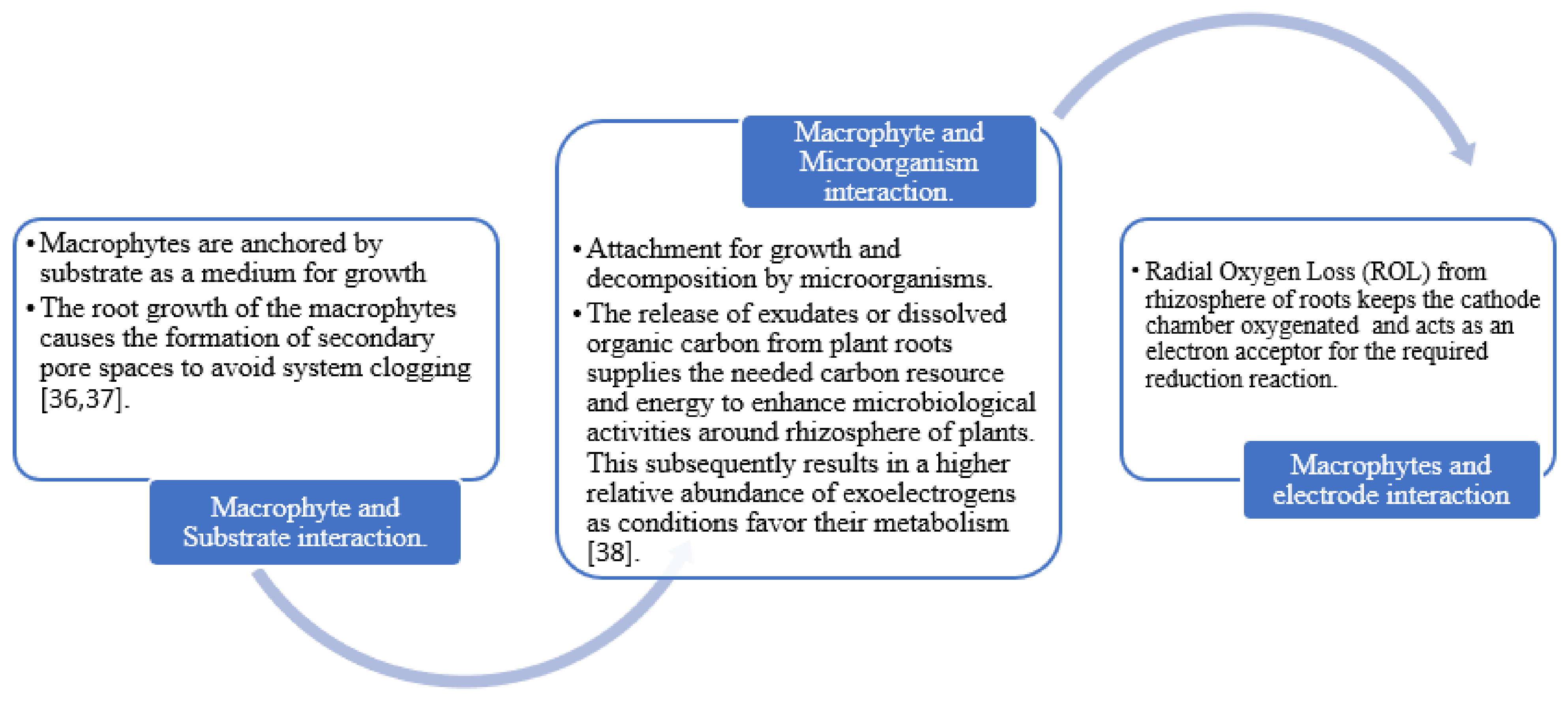 Applsci 11 07454 g002