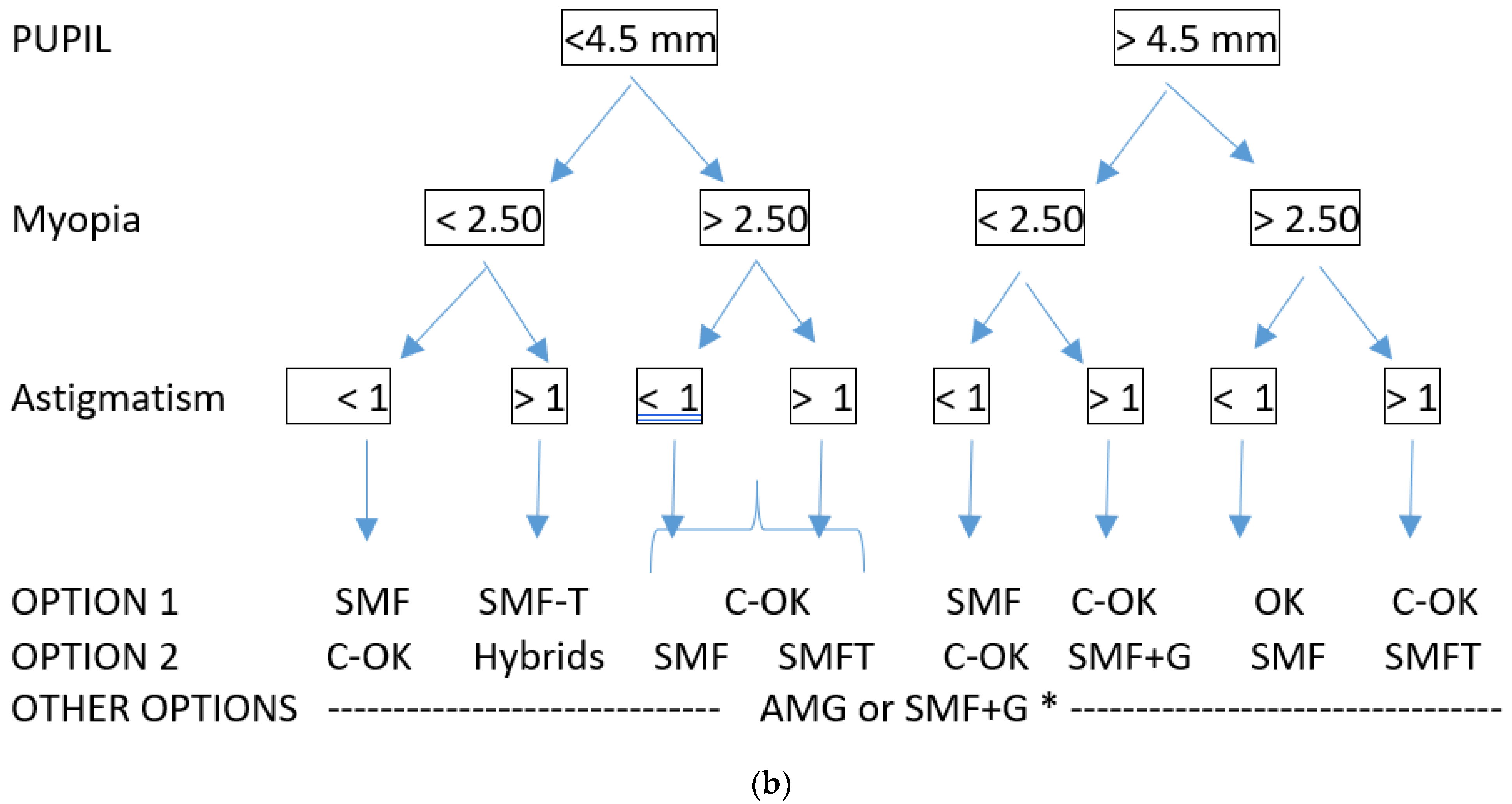 Applsci 11 07455 g001b