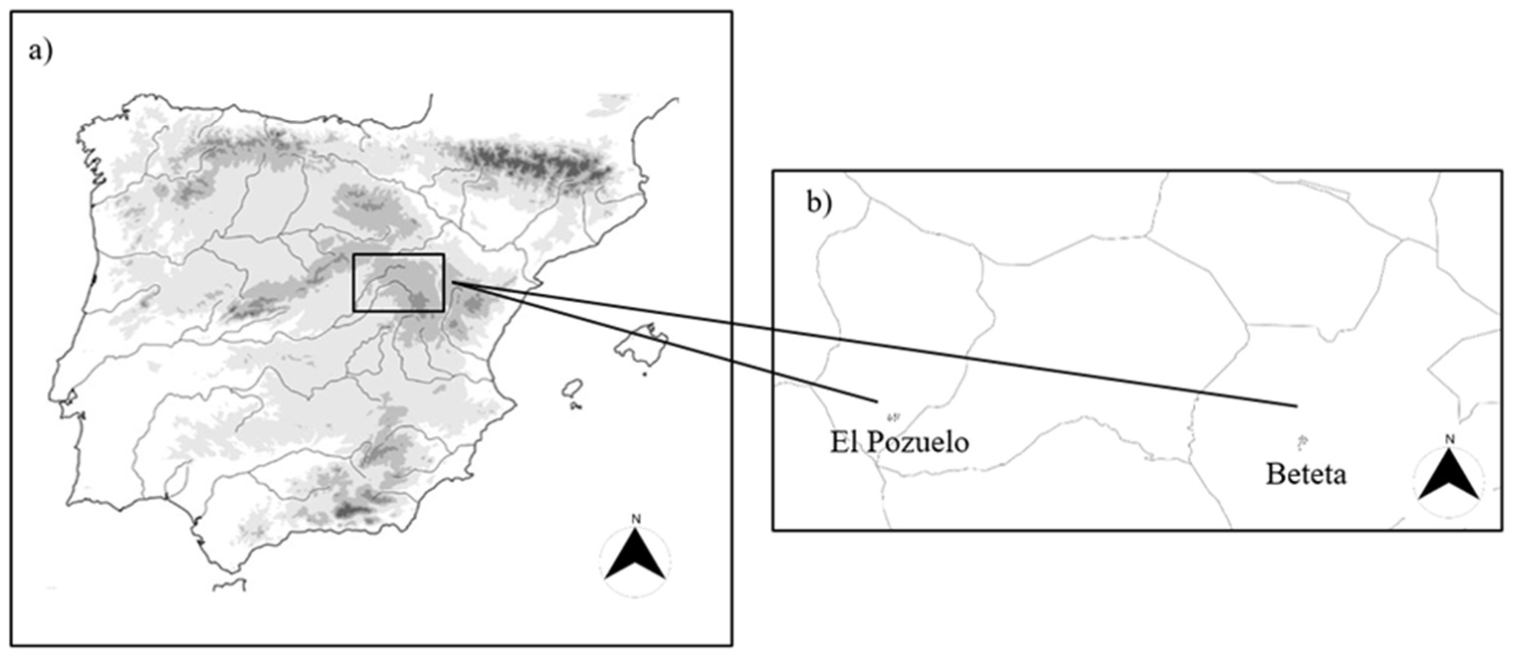 Applsci 11 07462 g001