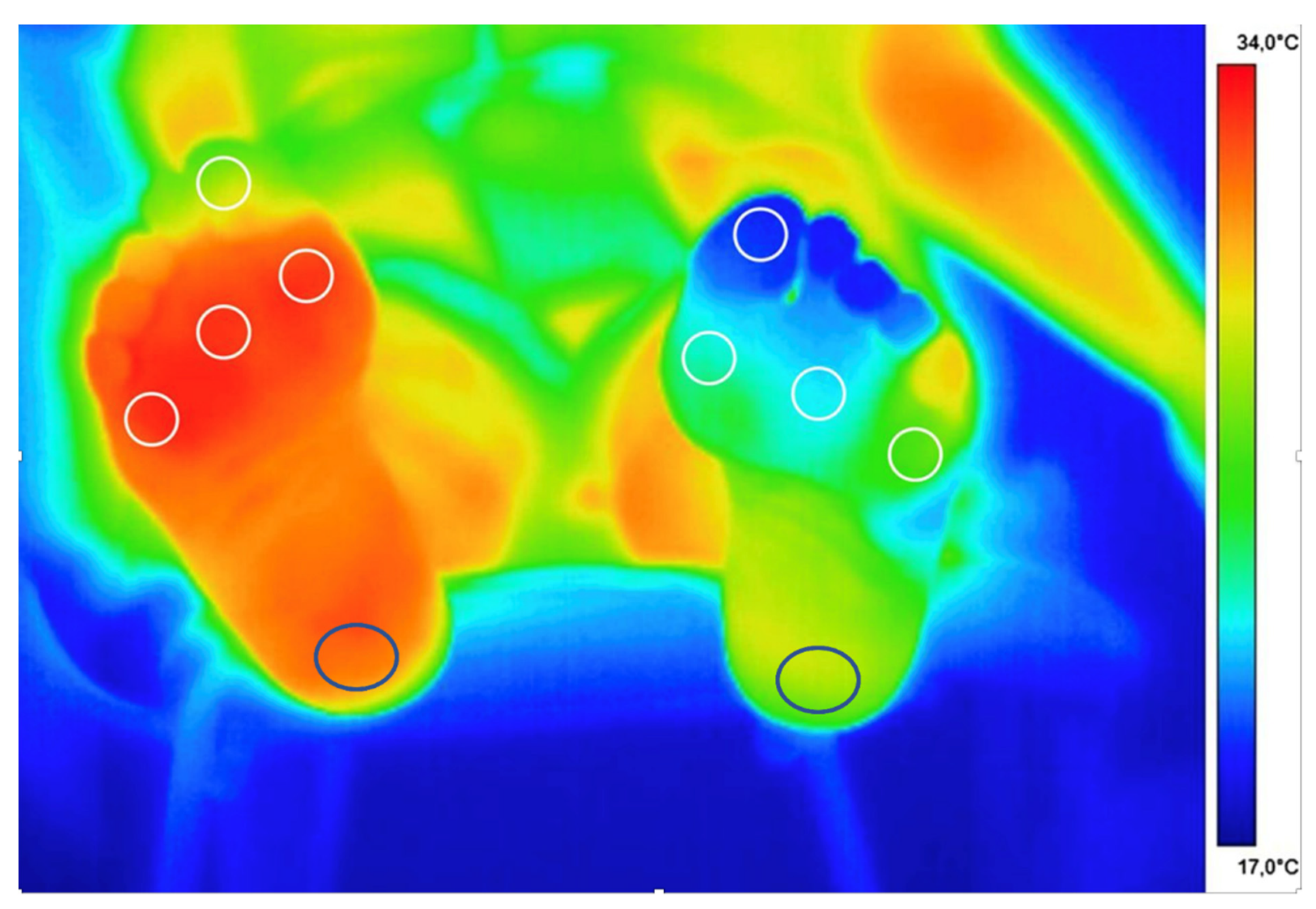 Applsci 11 07473 g003 Applsci 11 07473 g003