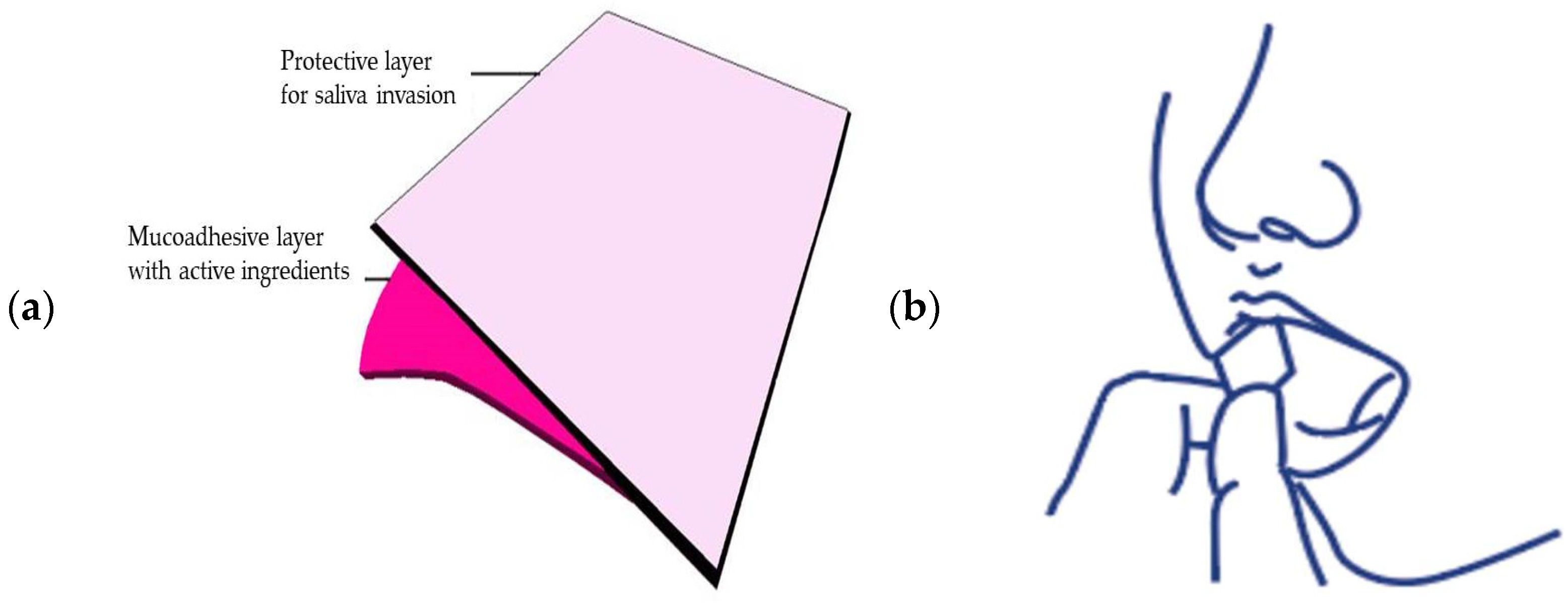 Applsci 11 07486 g001