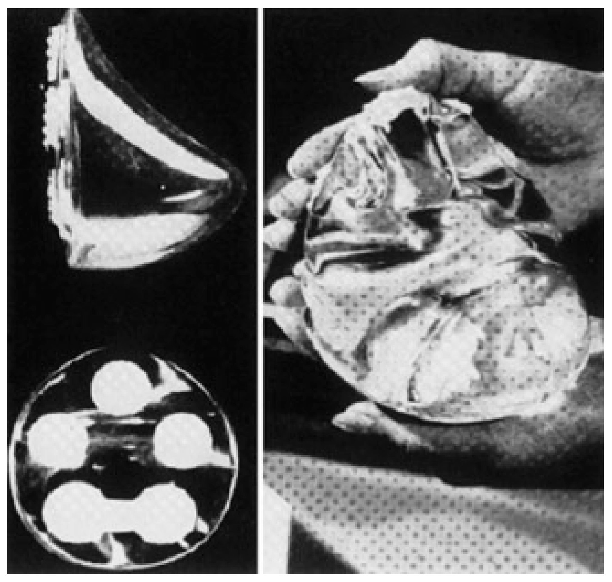Applsci 11 07493 g001