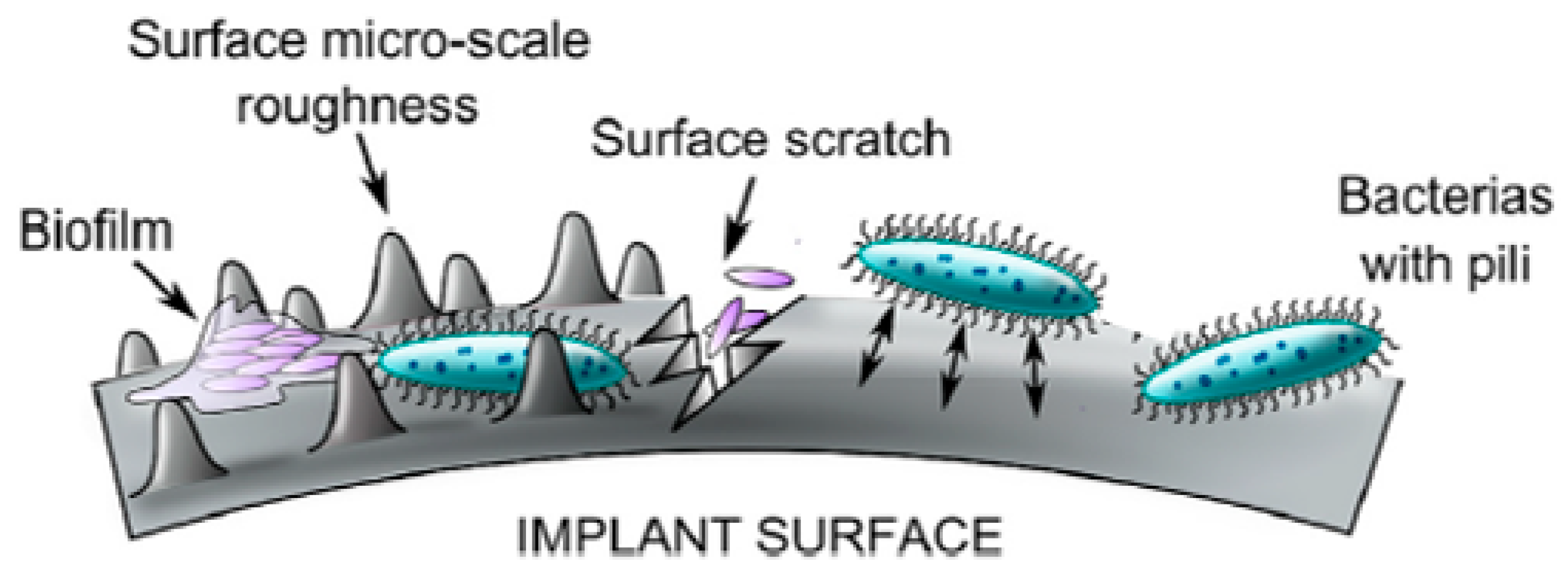 Applsci 11 07493 g002