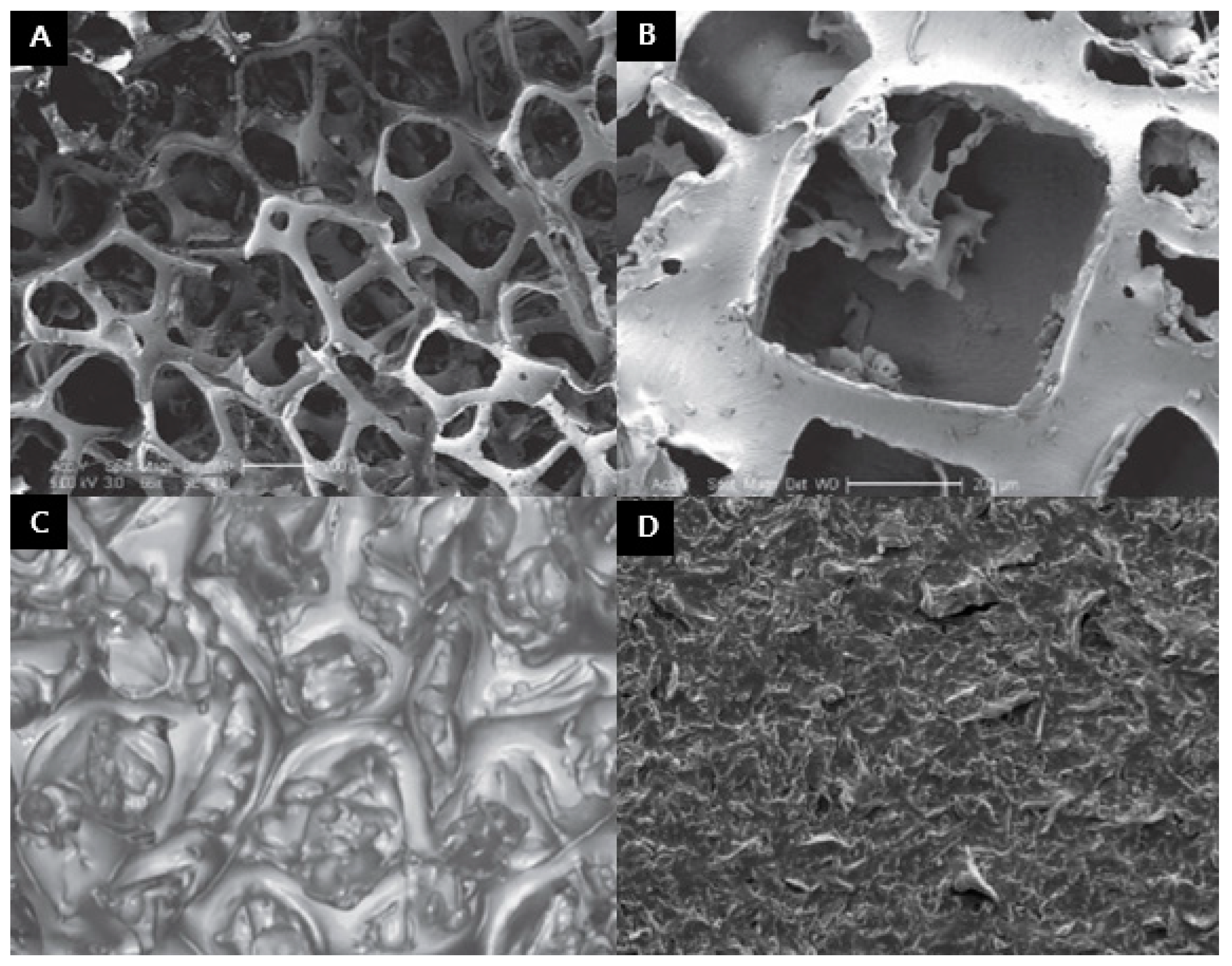 Applsci 11 07493 g003