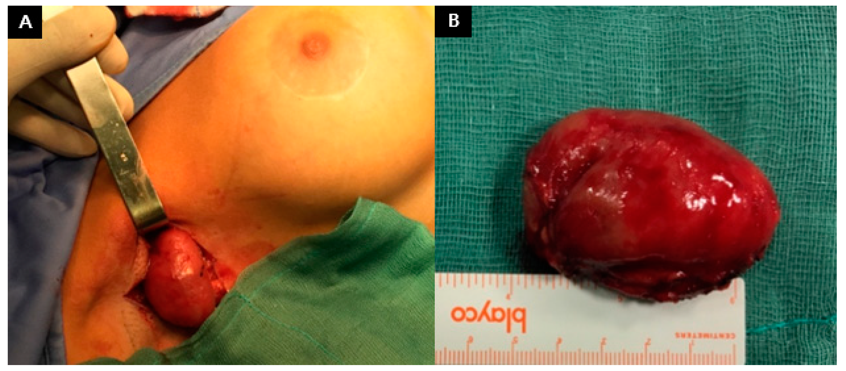 Applsci 11 07493 g005