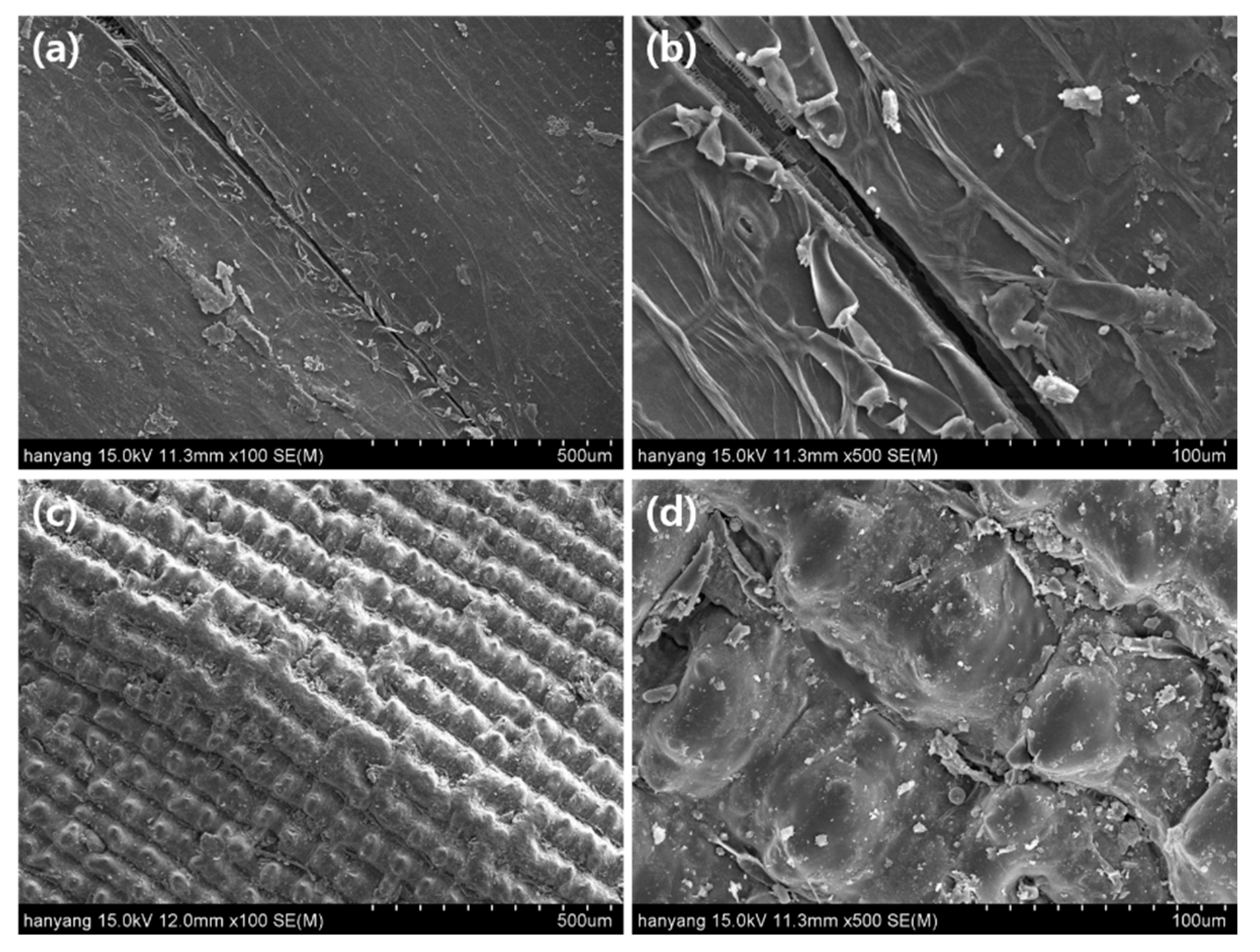 Applsci 11 07508 g002