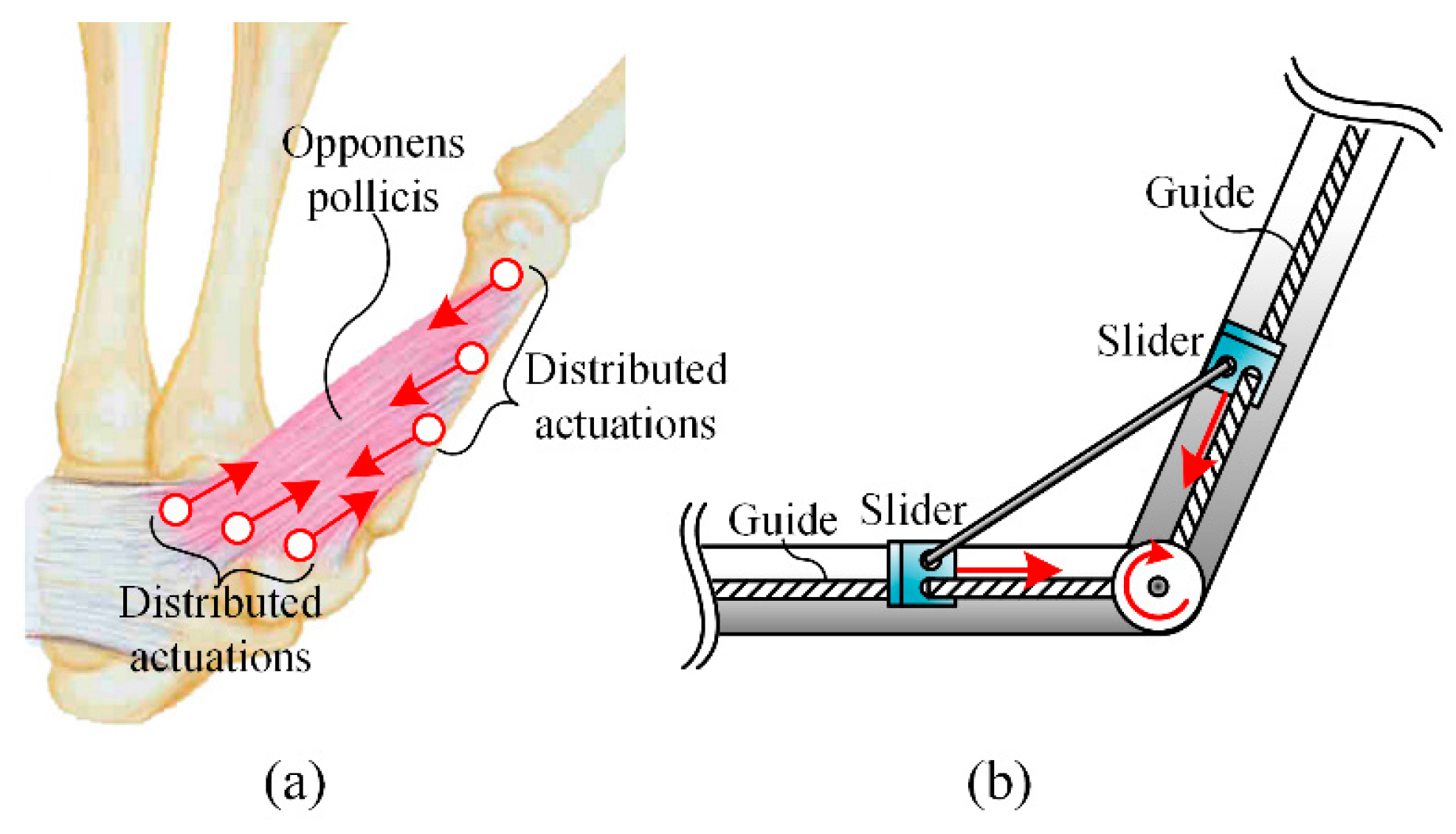 Applsci 11 07513 g001