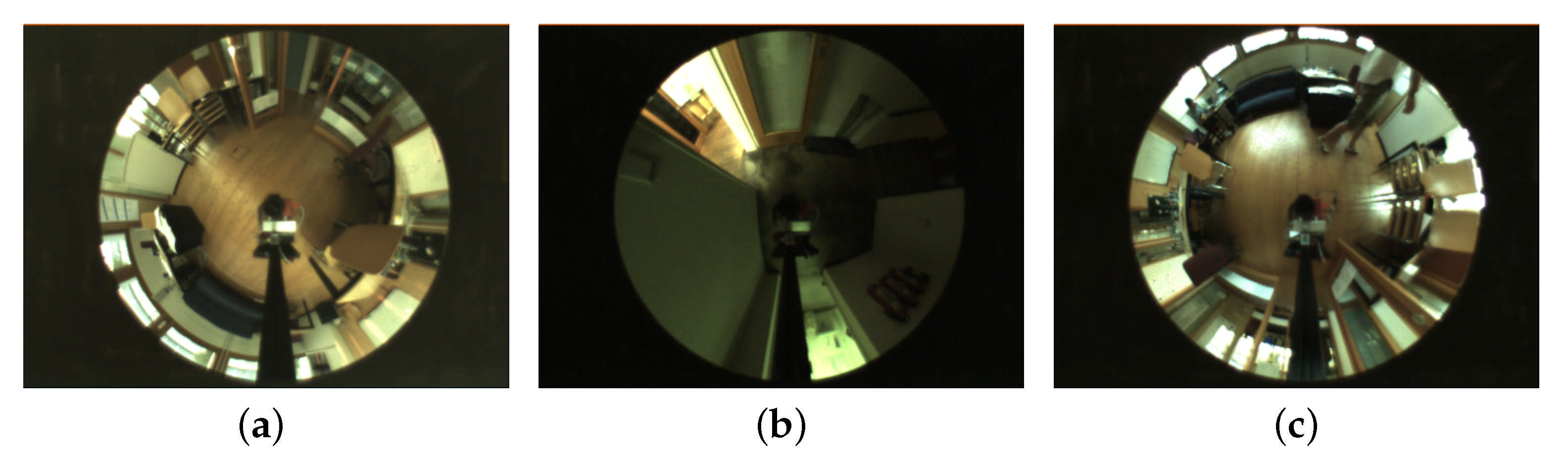 Applsci 11 07521 g001