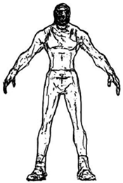 Applsci 11 07536 i005