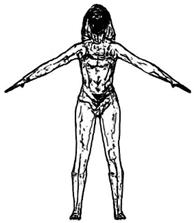 Applsci 11 07536 i015