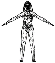 Applsci 11 07536 i016