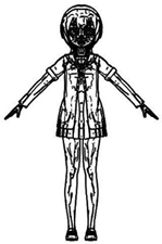 Applsci 11 07536 i019